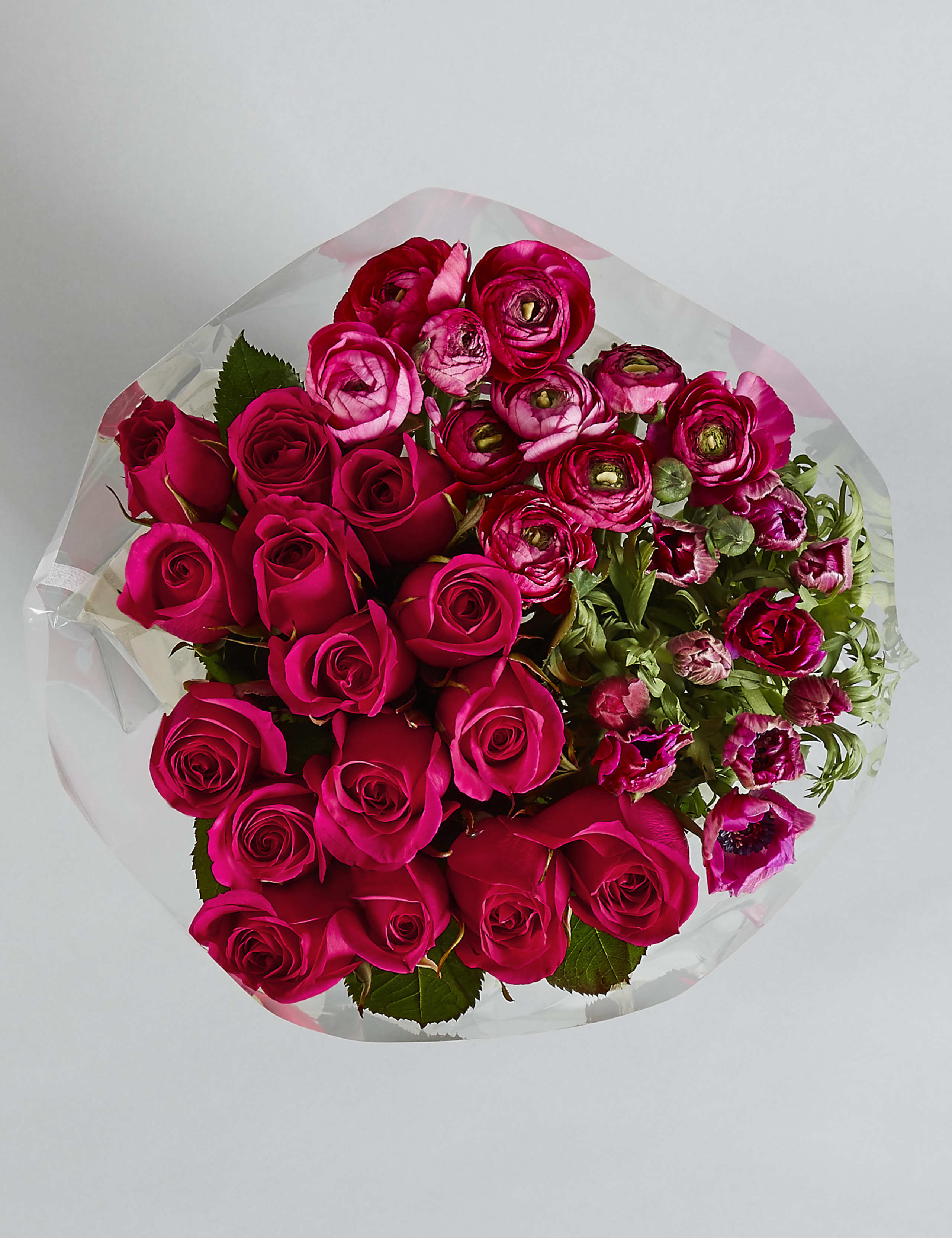 The Collection Bundle of Spring 3 of 6