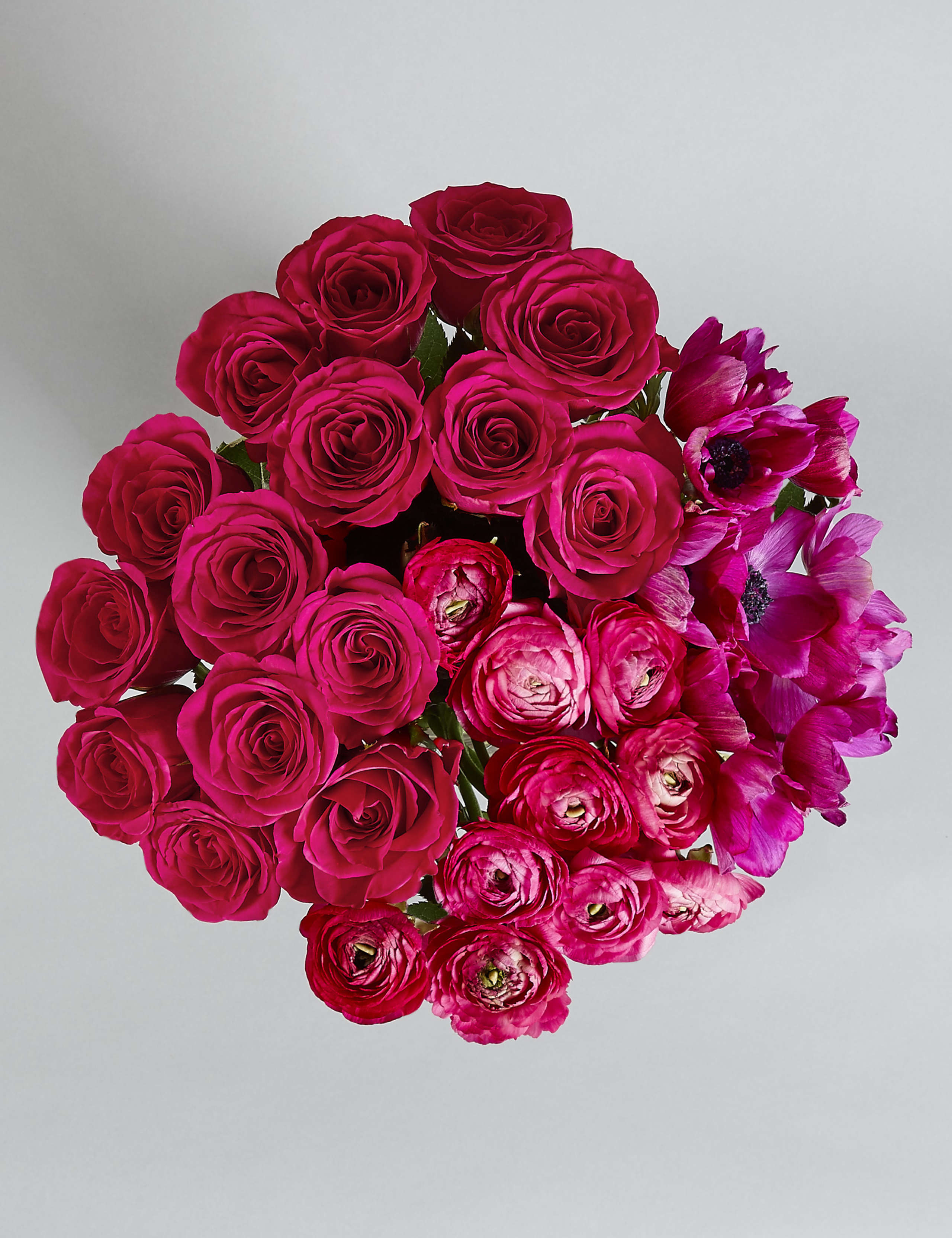 The Collection Bundle of Spring 4 of 6