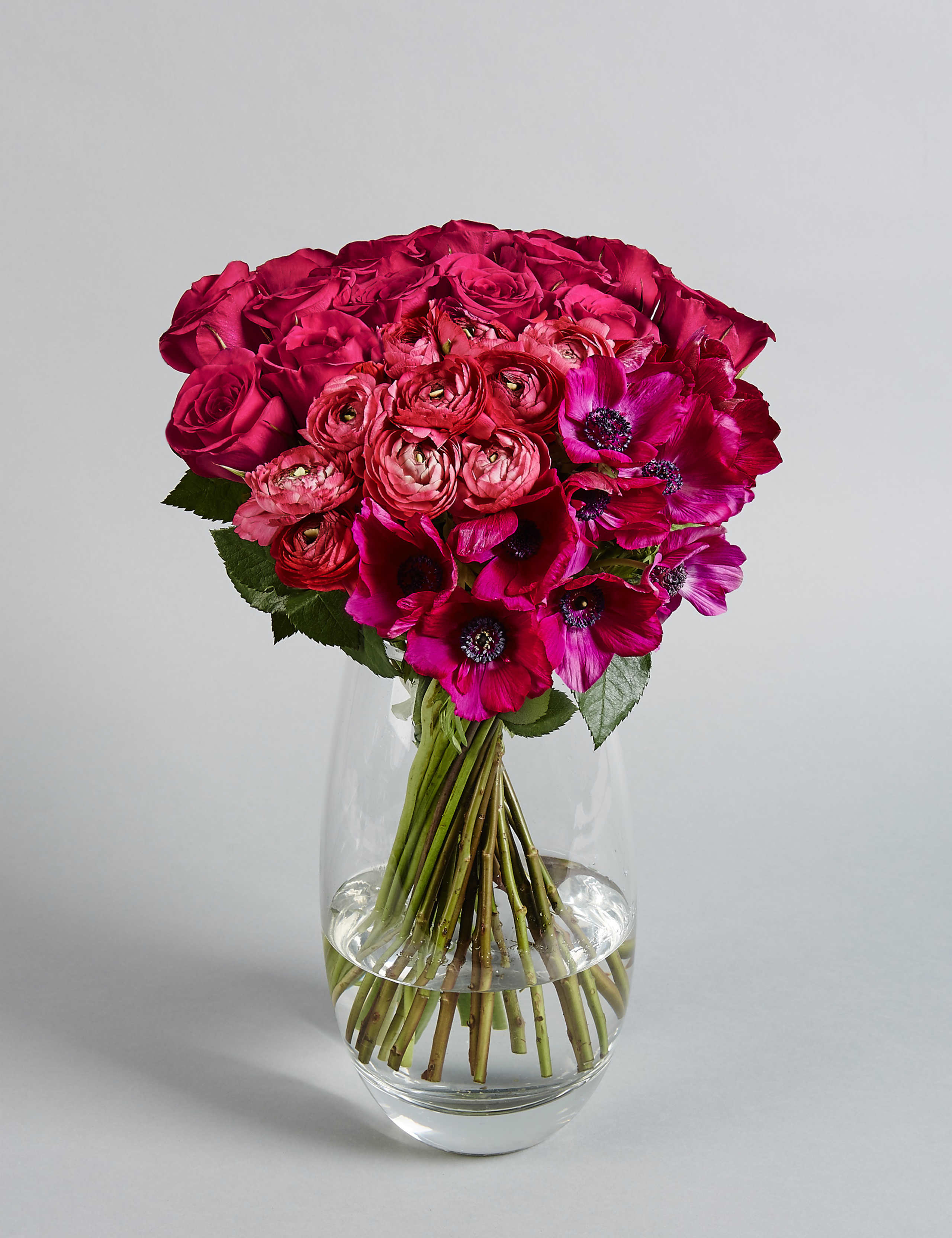 The Collection Bundle of Spring 6 of 6