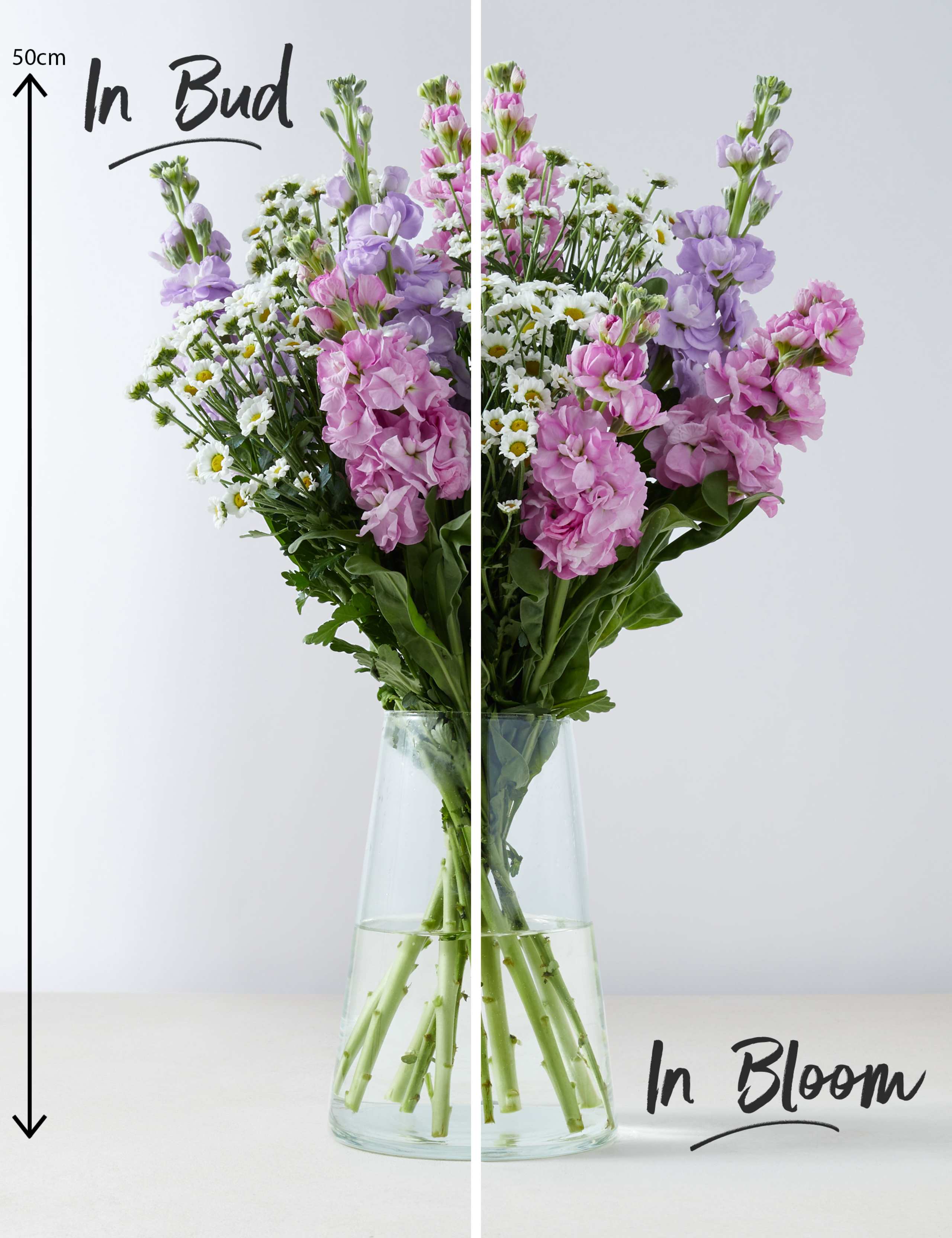 Scented Stocks & Chrysanthemum Letterbox Gift 3 of 7