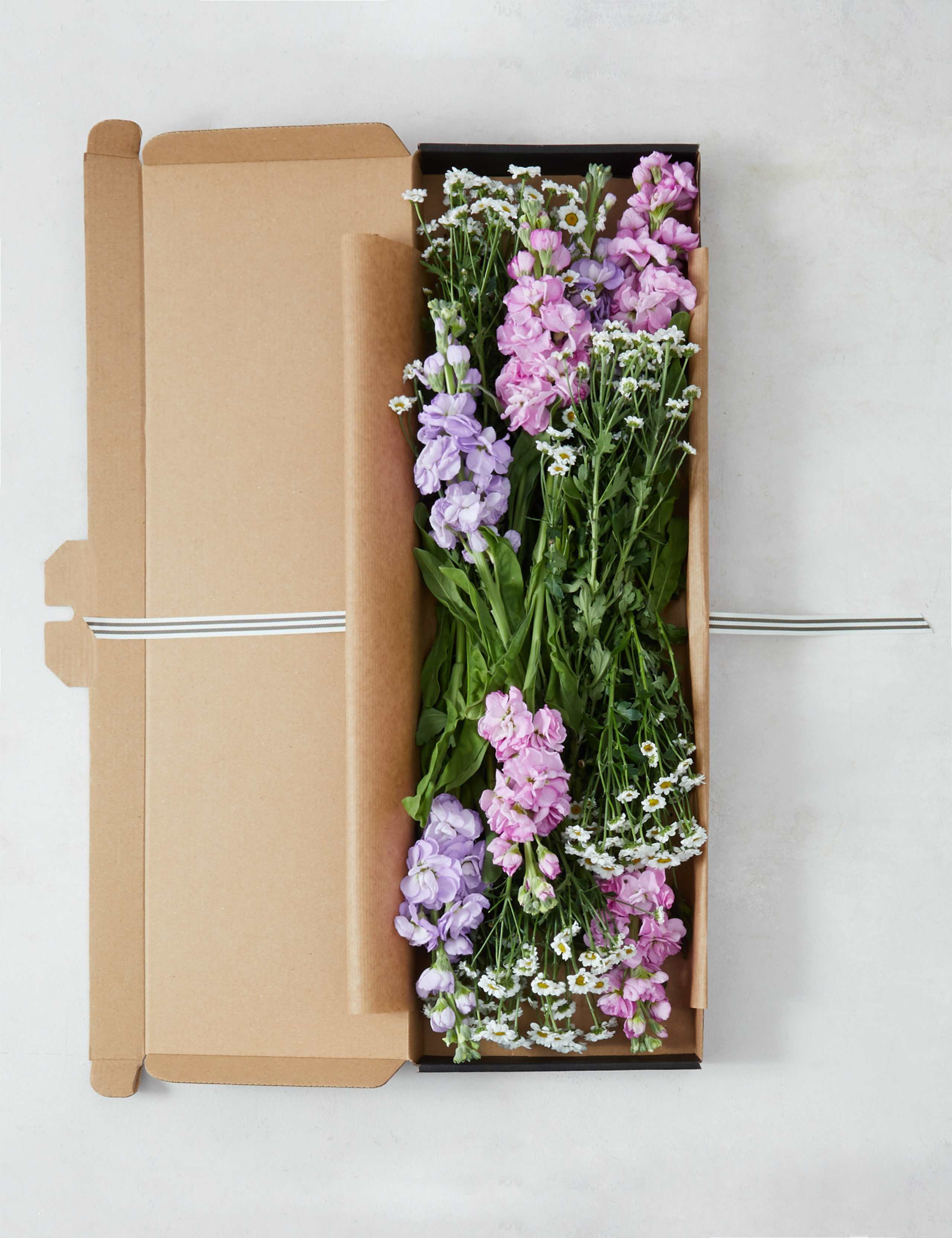 Scented Stocks & Chrysanthemum Letterbox Gift 2 of 7