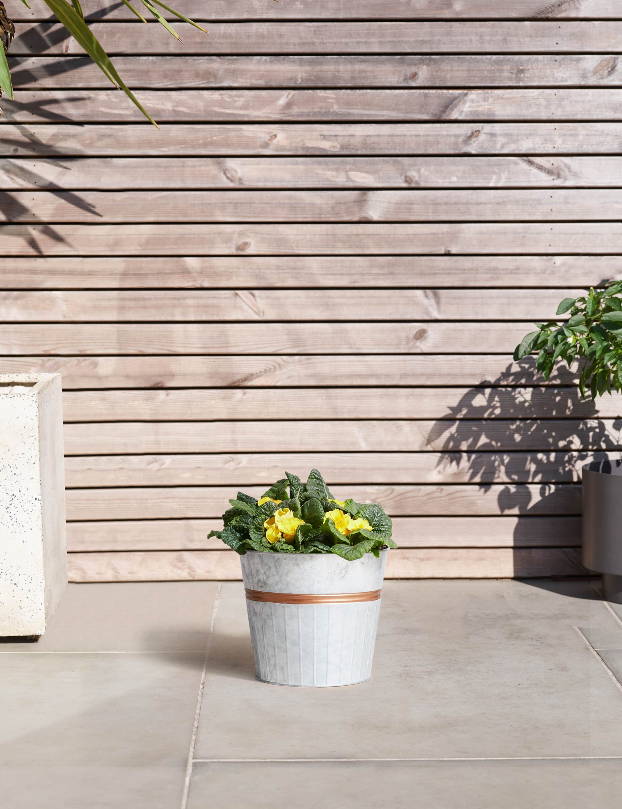 Primrose Tin Planter (Delivery from 15th February 2022) 1 of 6