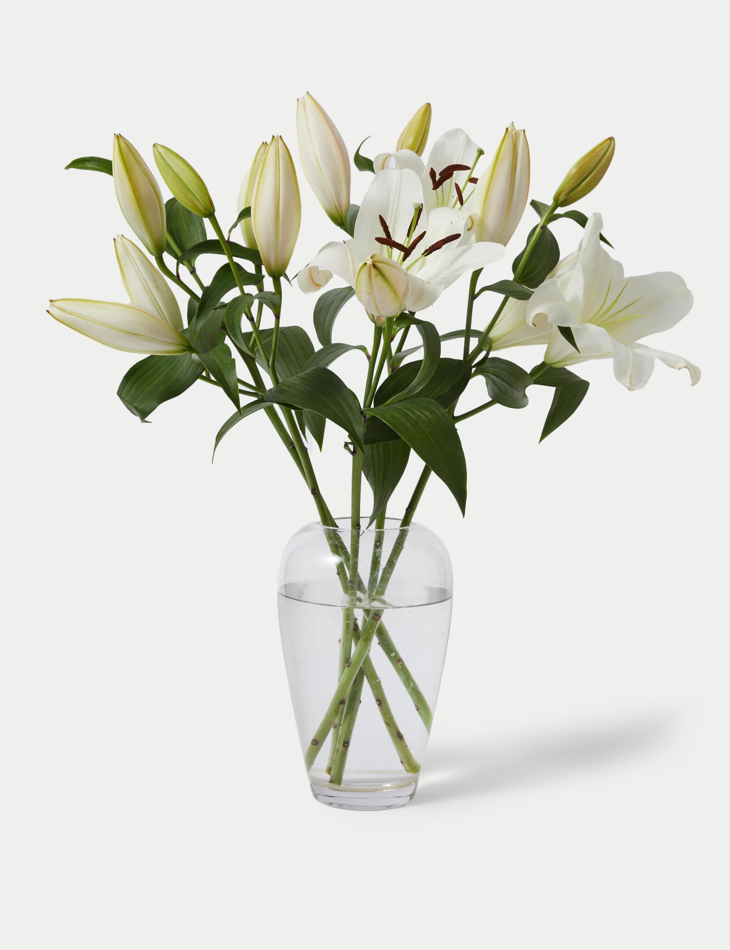 British White Lily Abundance Bouquet 3 of 7