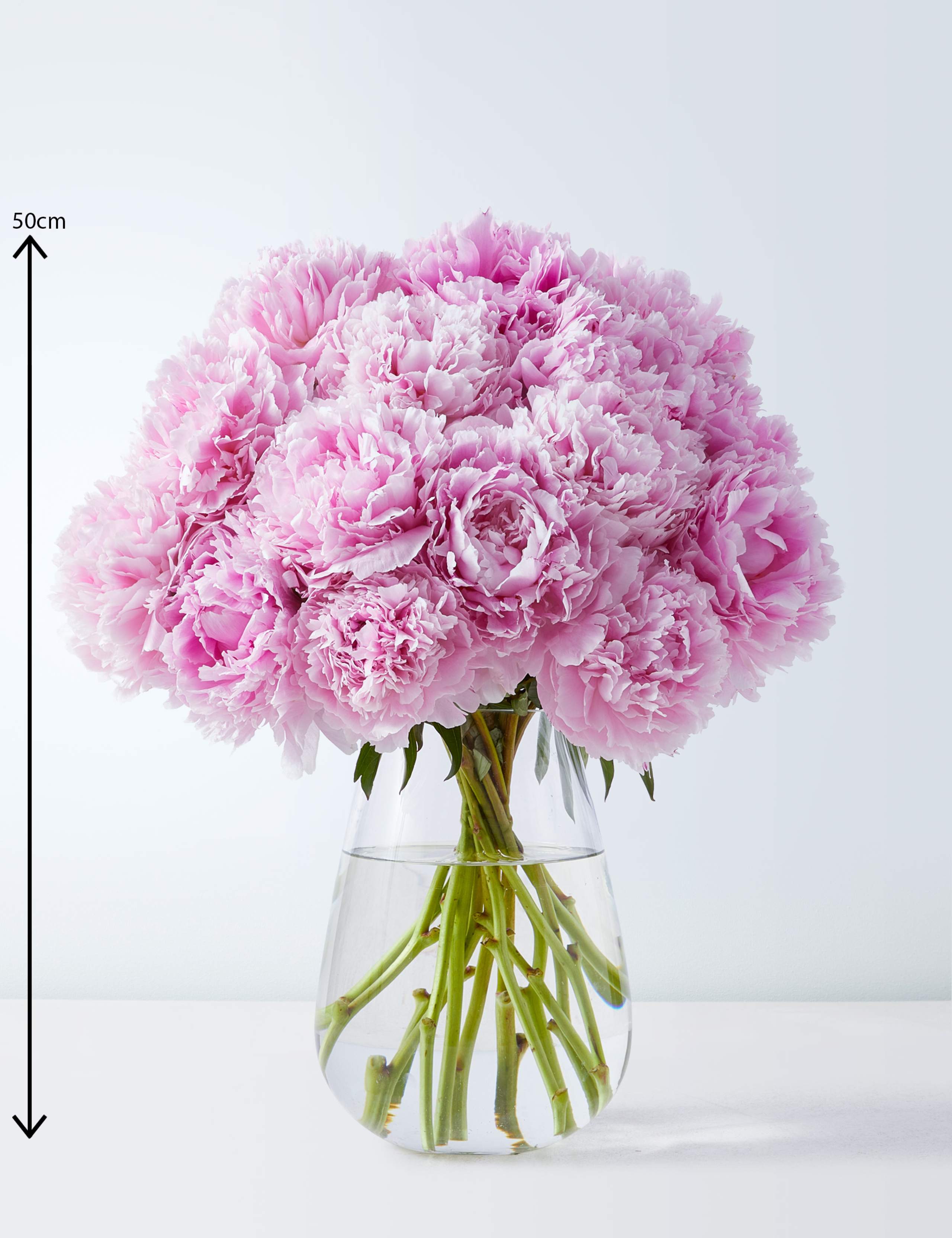 British Peony Bouquet 3 of 7