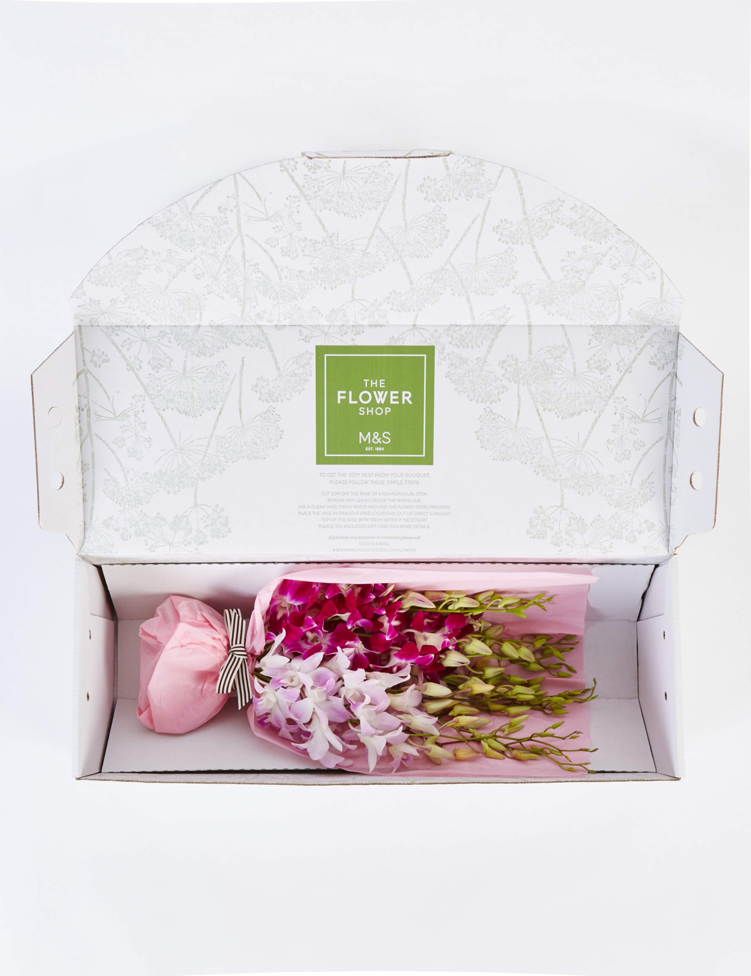 Dendrobiums (Pre Order) 4 of 6