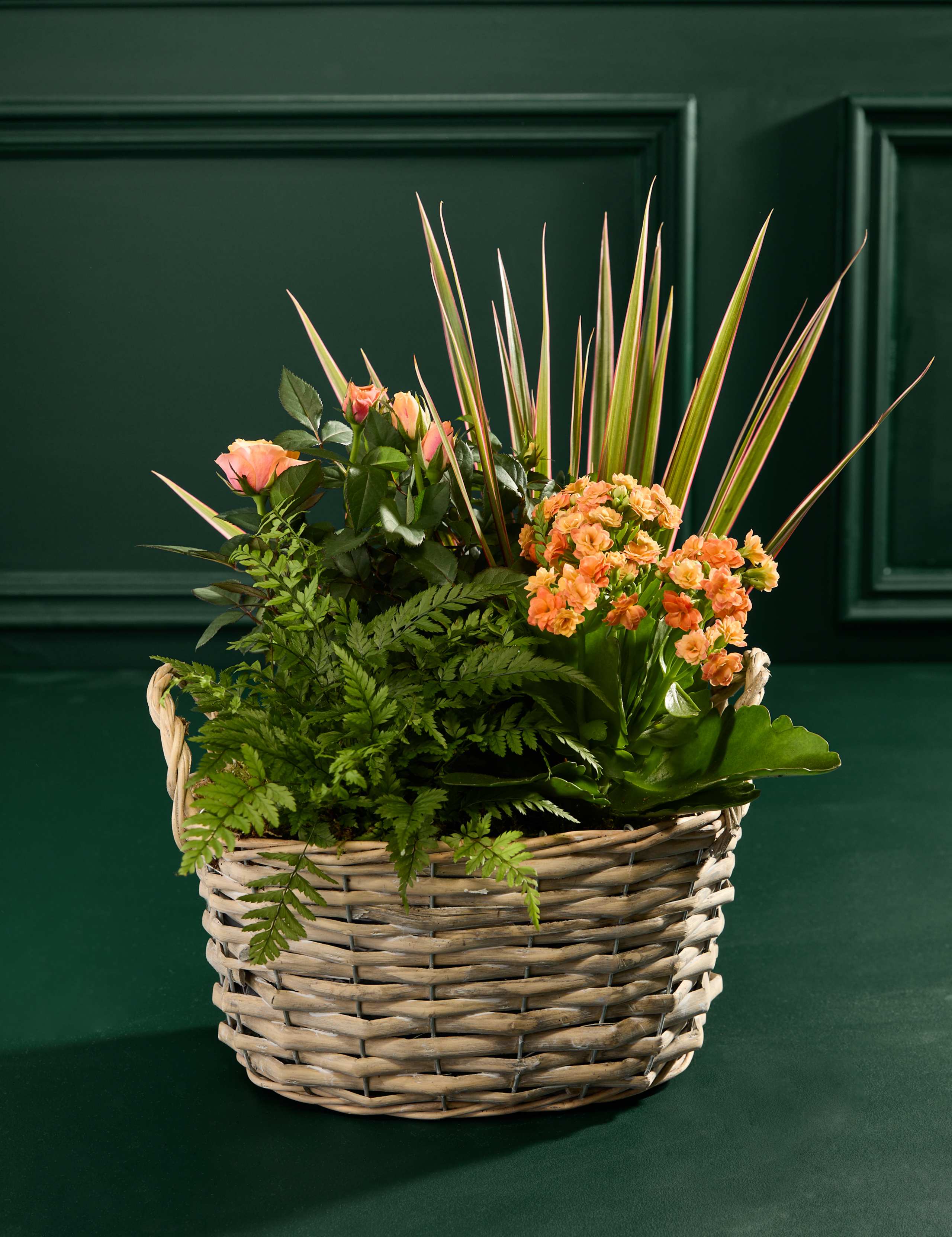 Spring Flowering Basket 3 of 3