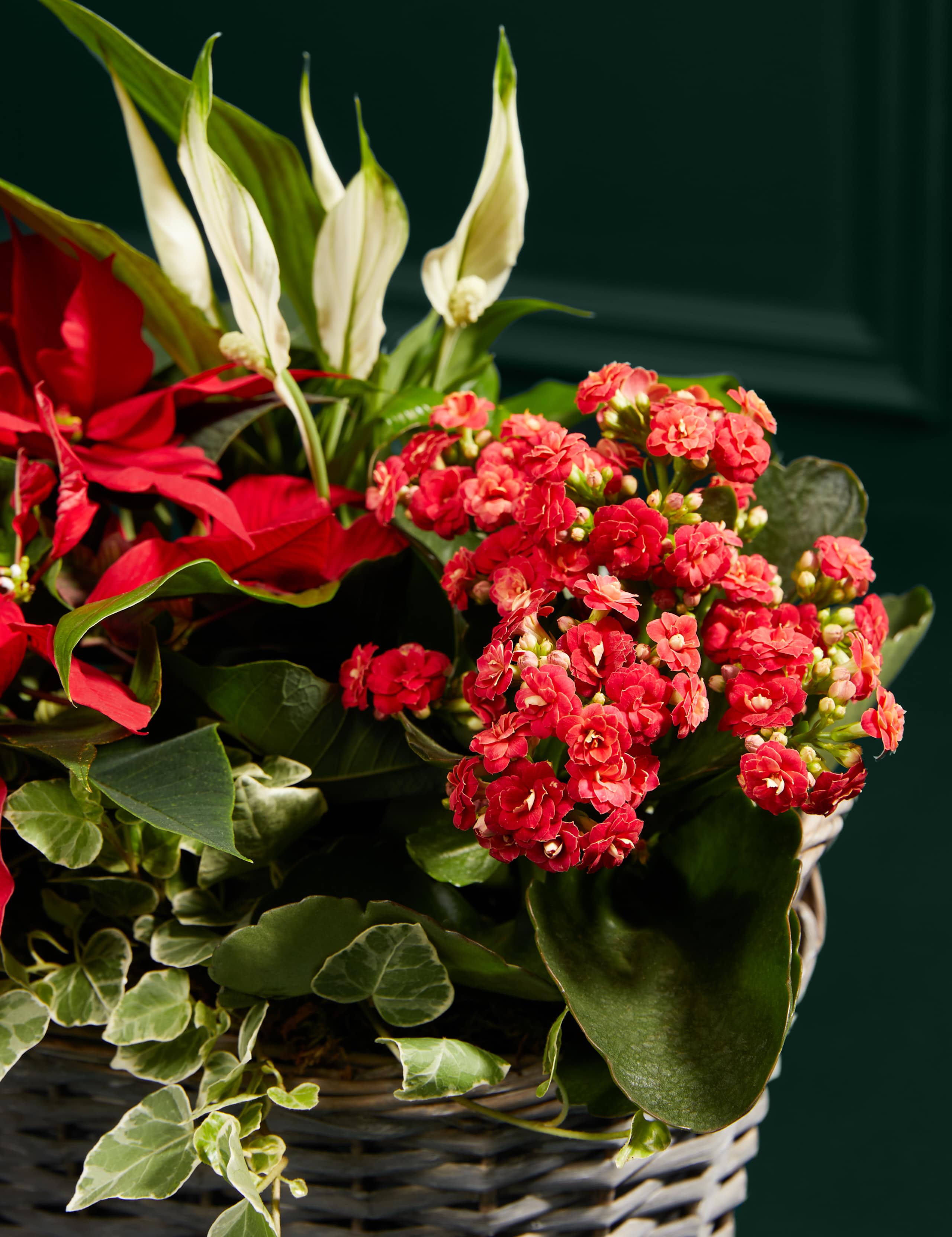 Red Christmas Basket 2 of 3