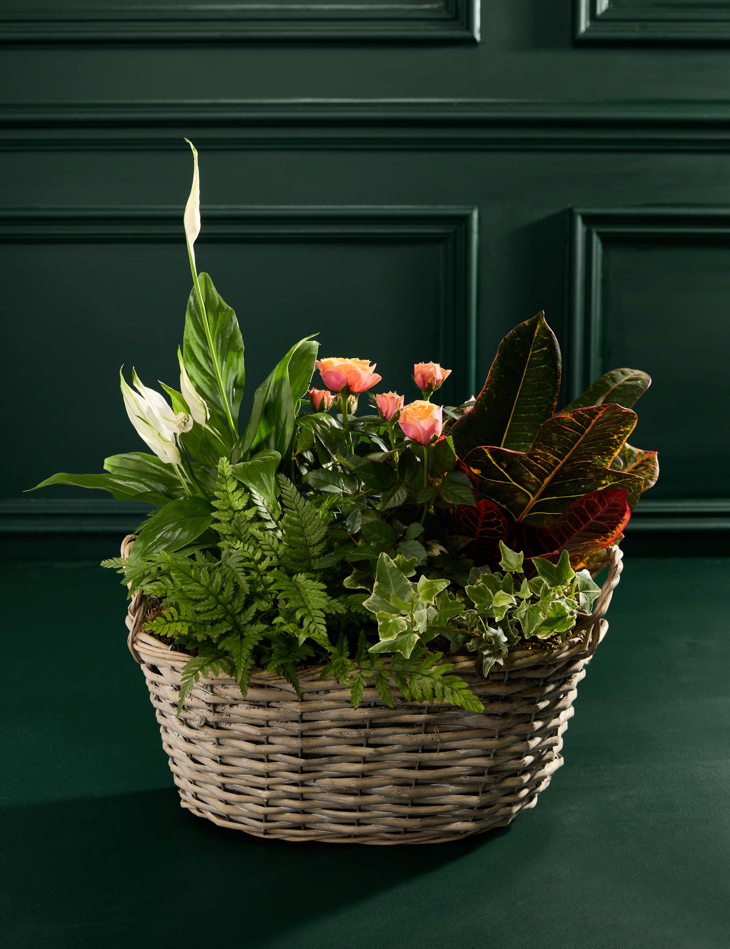 Autumn Luxury Flowering Basket 3 of 3