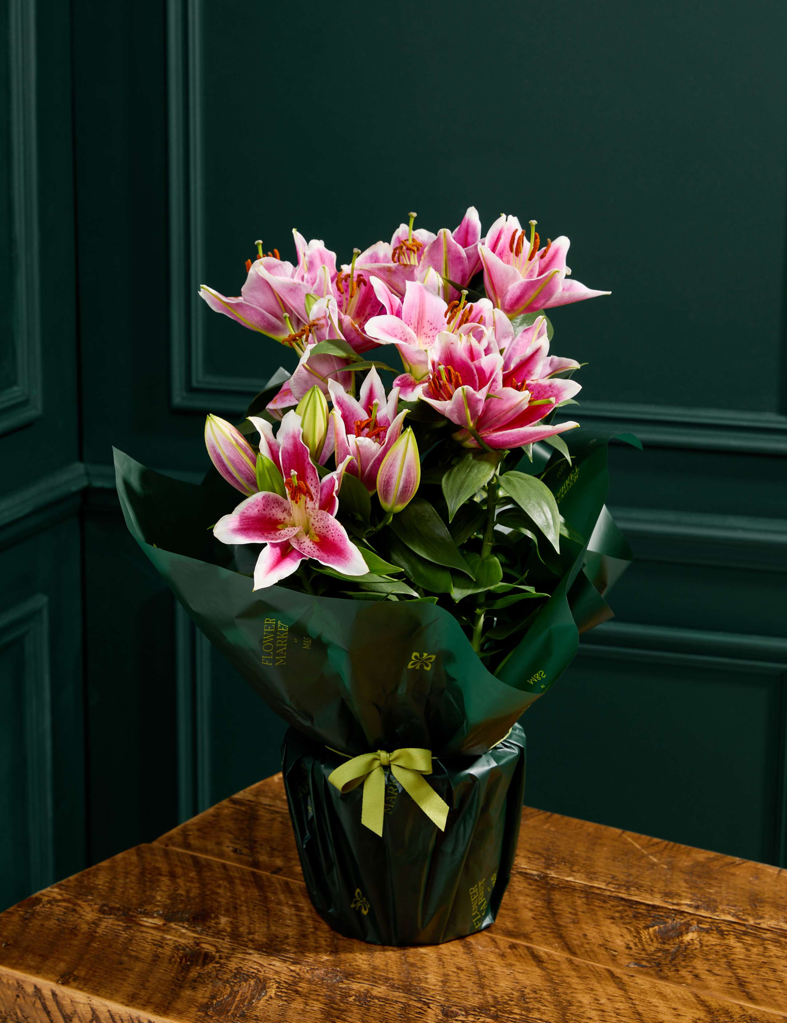 Pink Oriental Lily 1 of 4