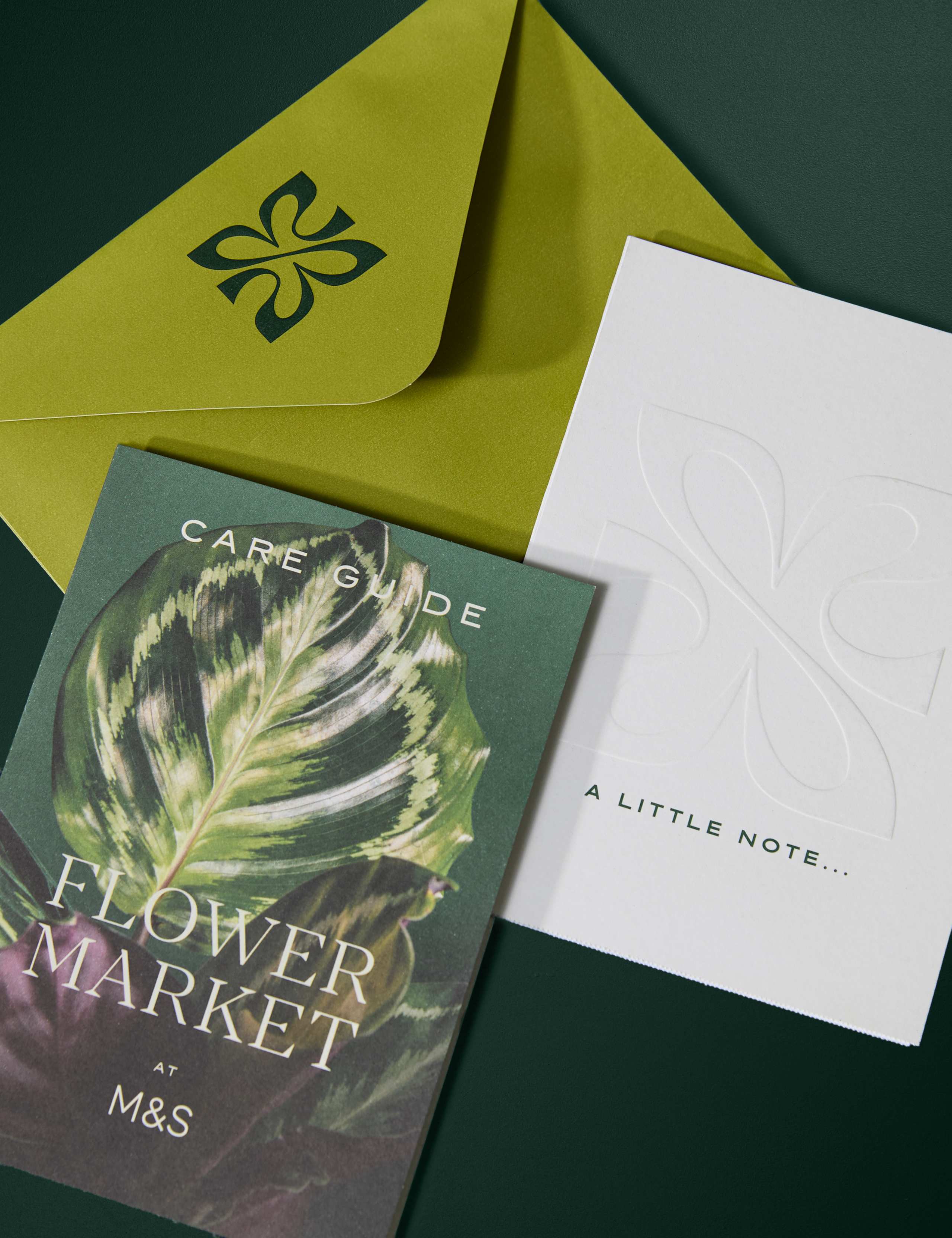 Pink Oriental Lily 4 of 4