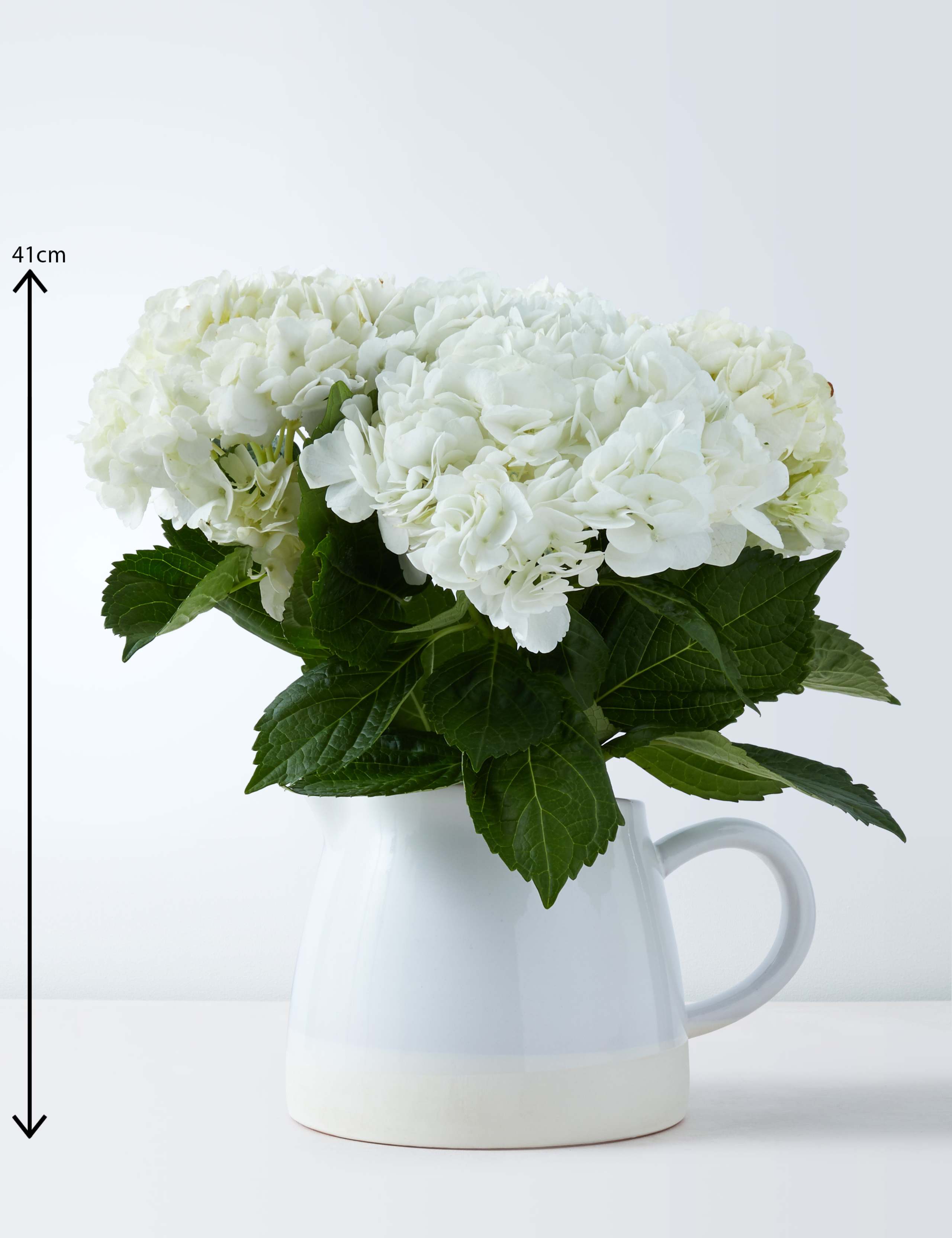 Large Hydrangea Jug 3 of 5