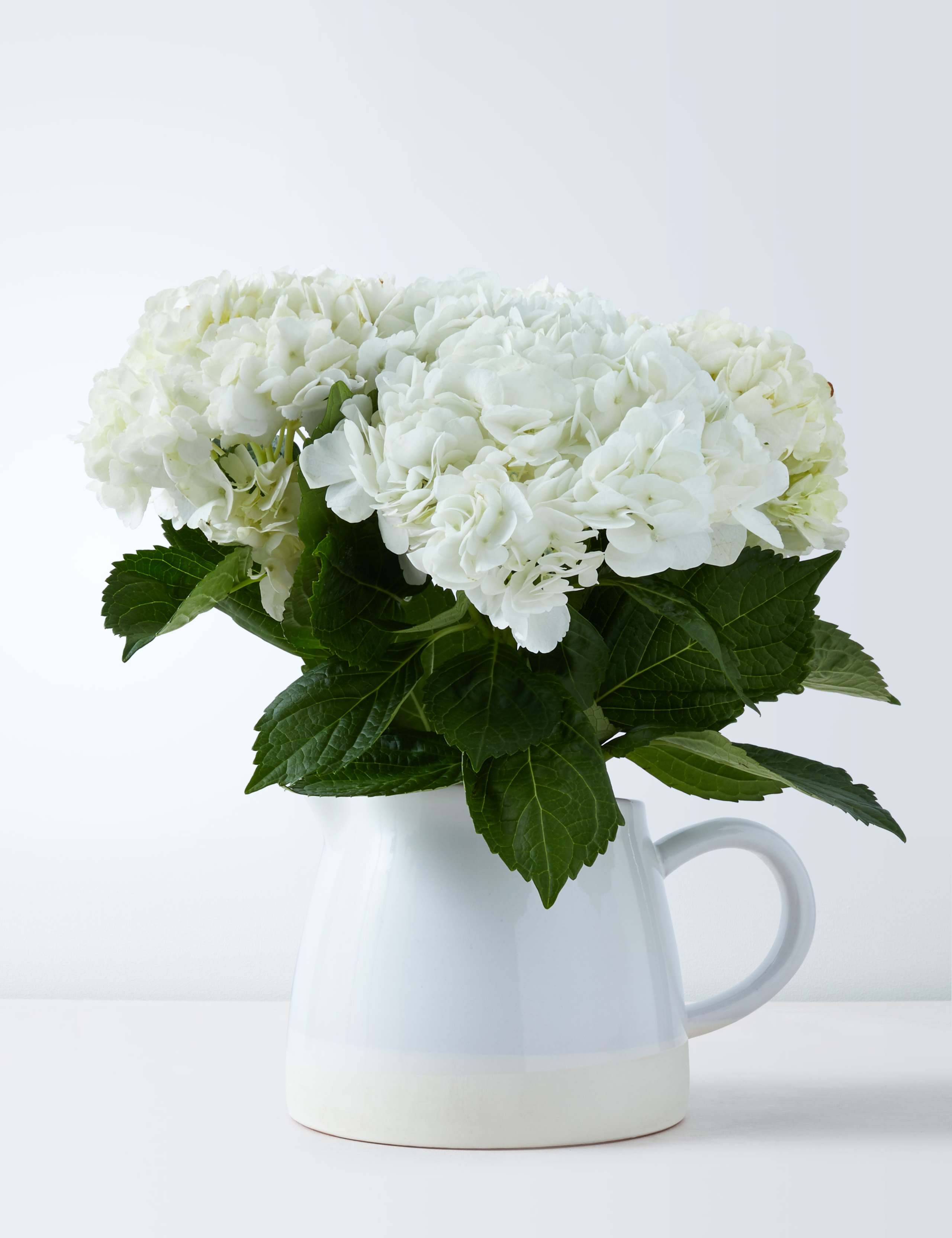 Large Hydrangea Jug 2 of 5