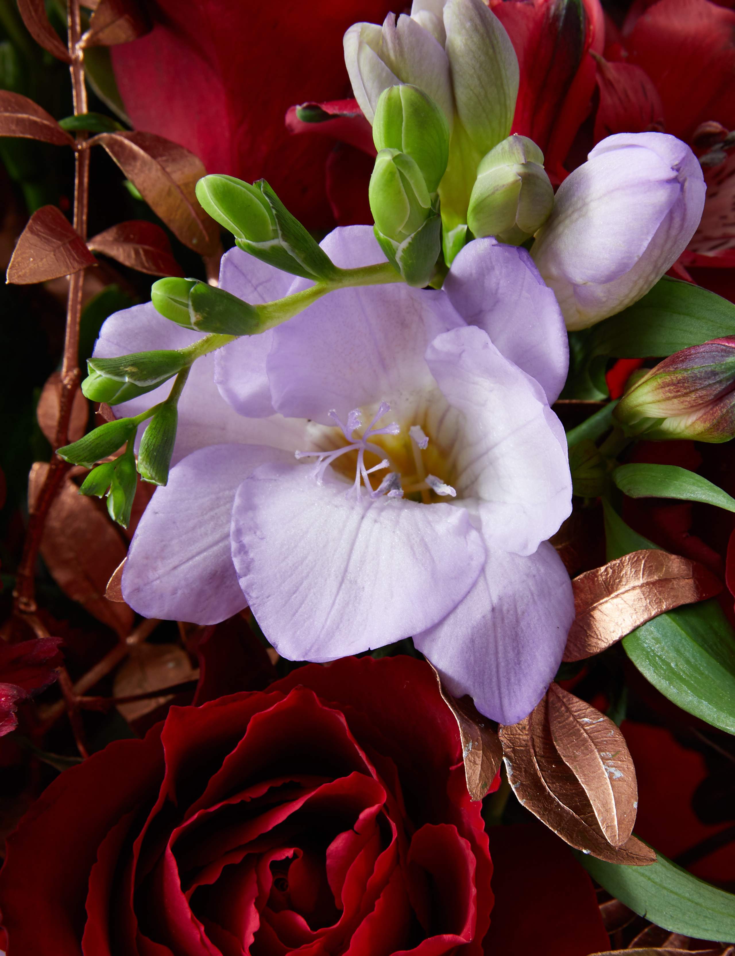 Christmas Rose & Freesia Gift Bag 5 of 7
