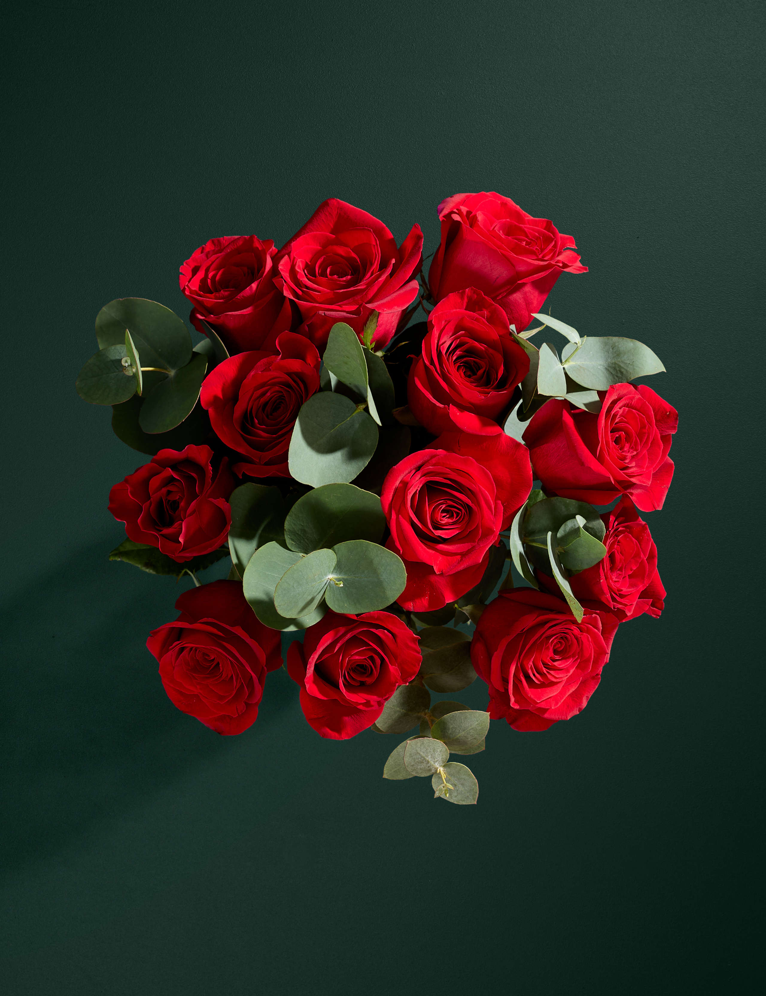 Dozen Red Freedom® Rose Valentines Bouquet 2 of 7