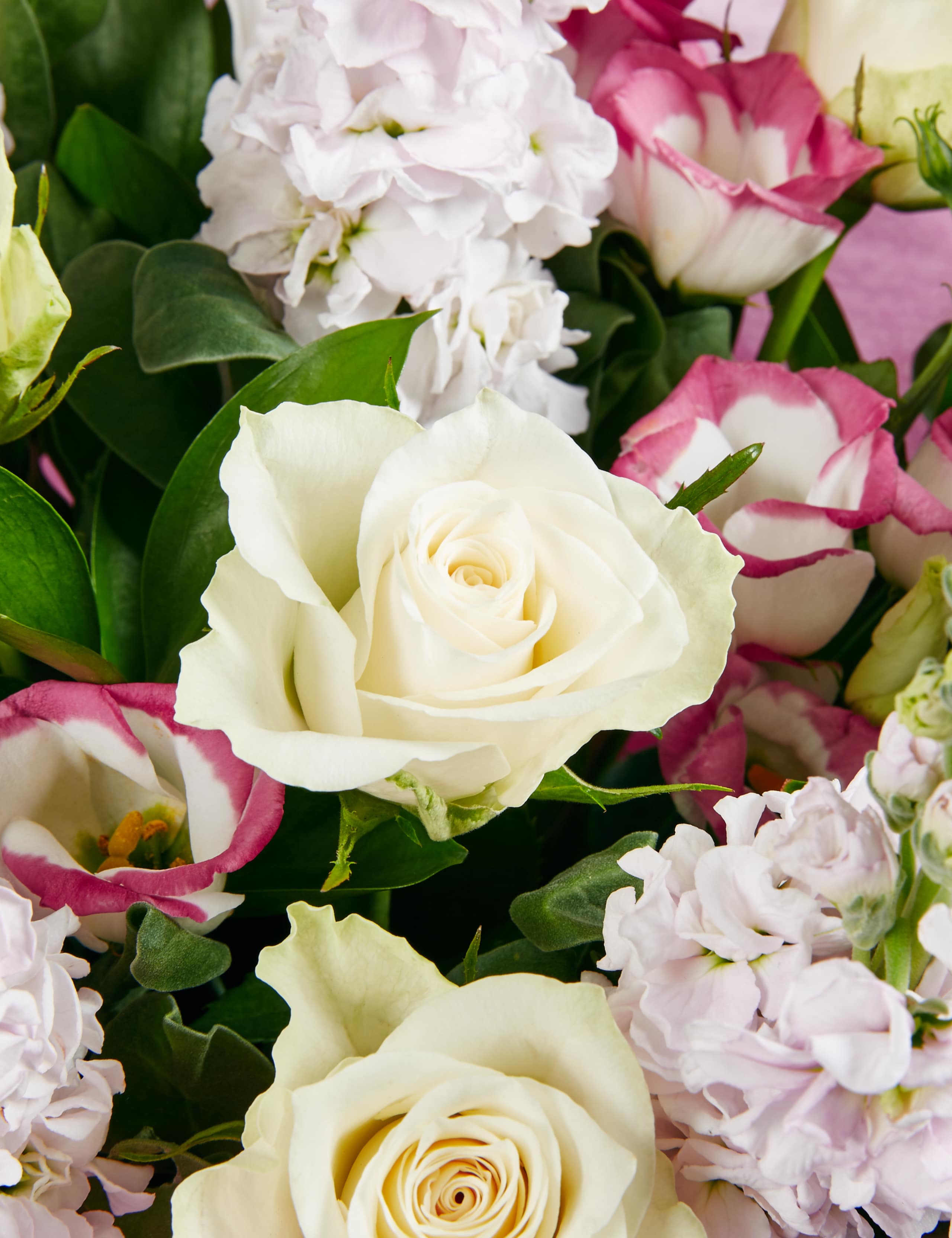 Rose & Lisianthus Gift Bag 5 of 5