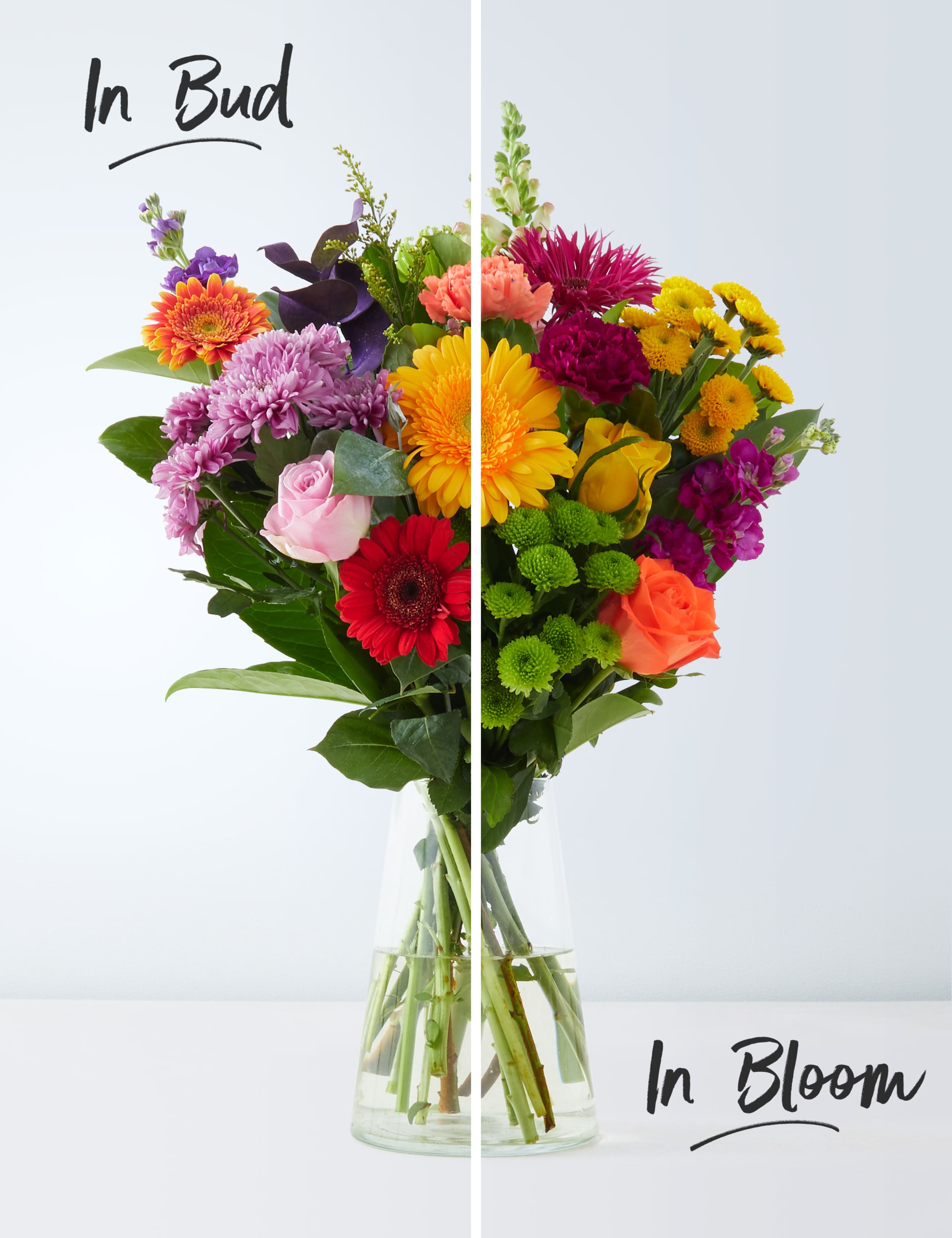 Autumn Medley Bouquet 3 of 6