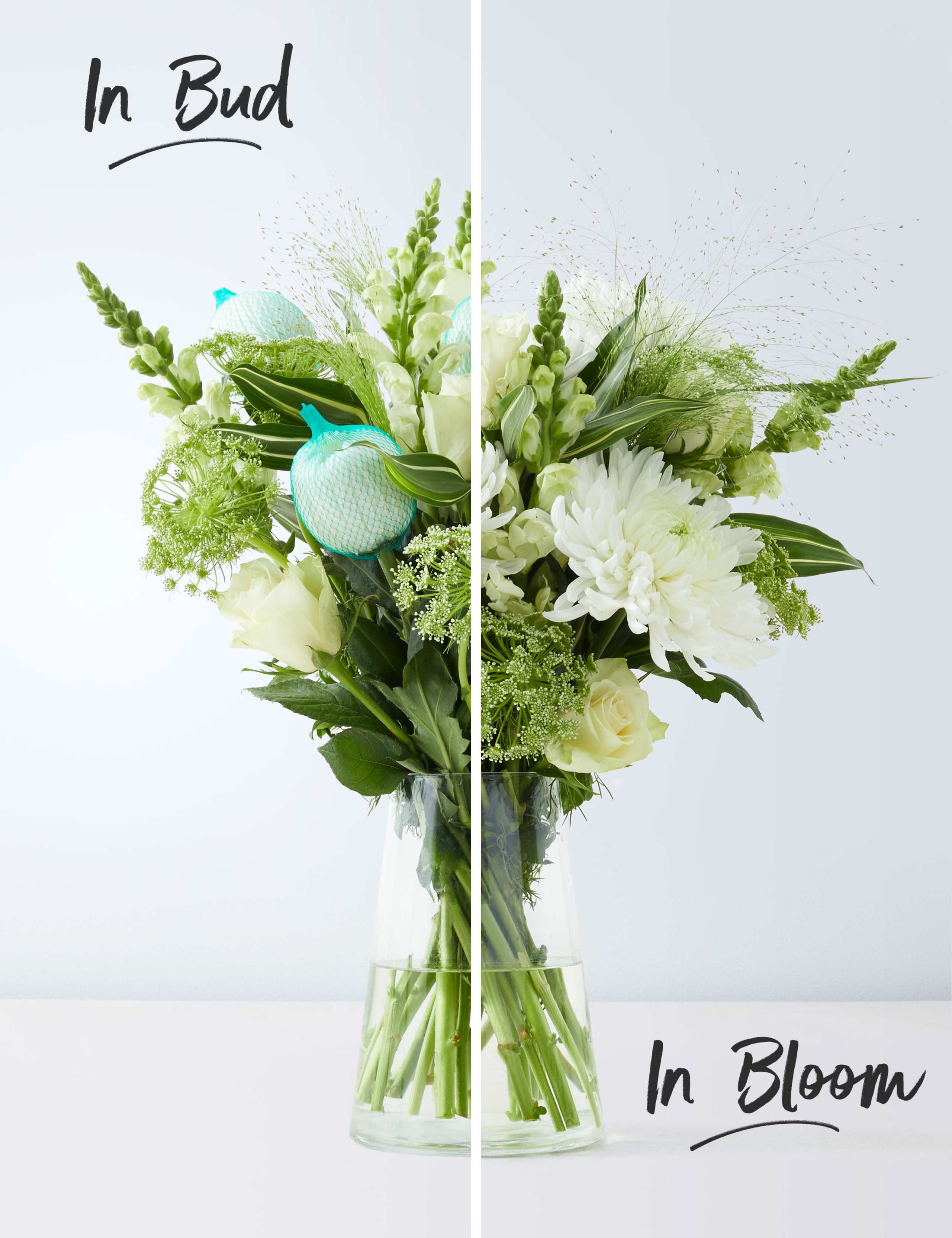 Serene Bouquet 3 of 6