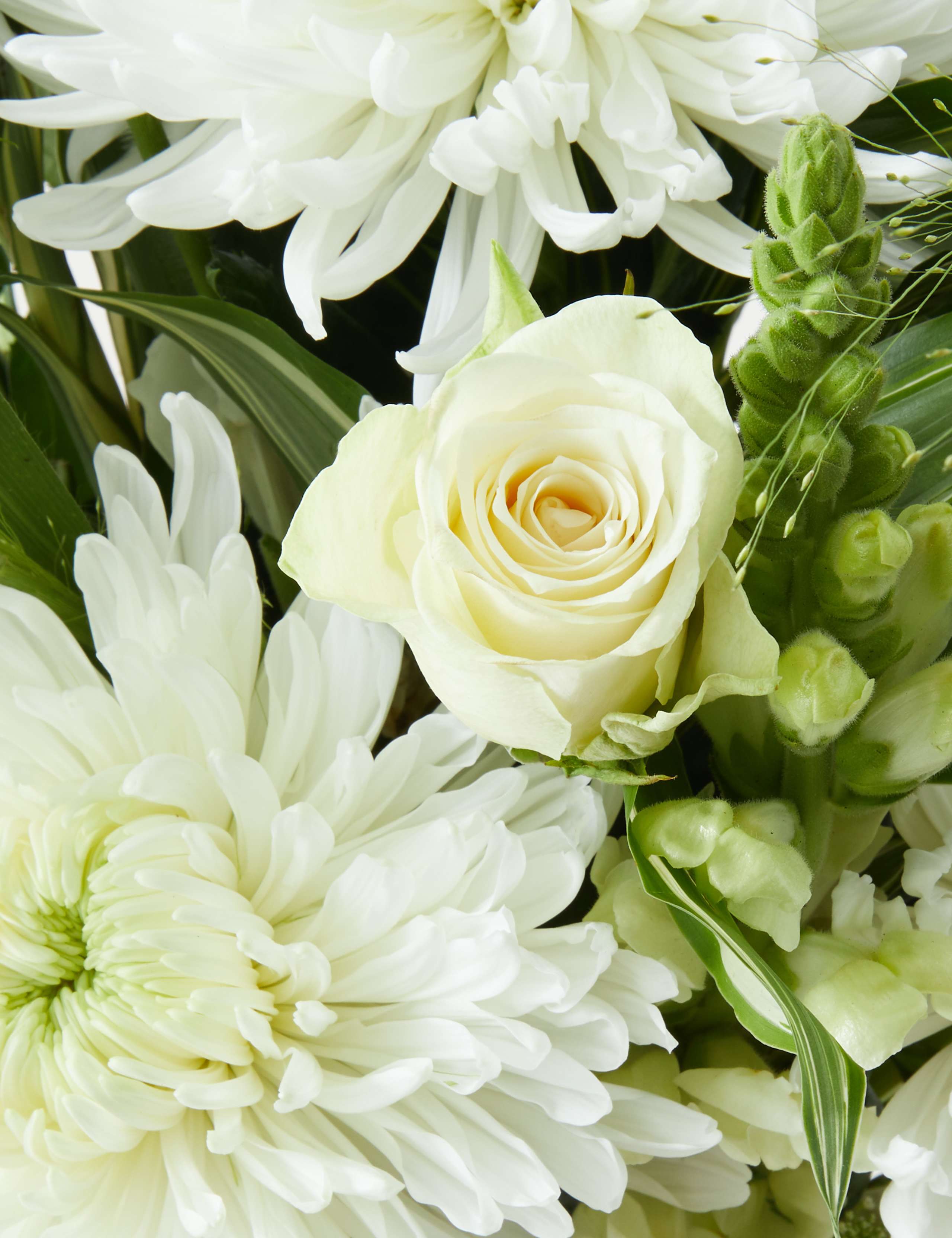 Serene Bouquet 5 of 6