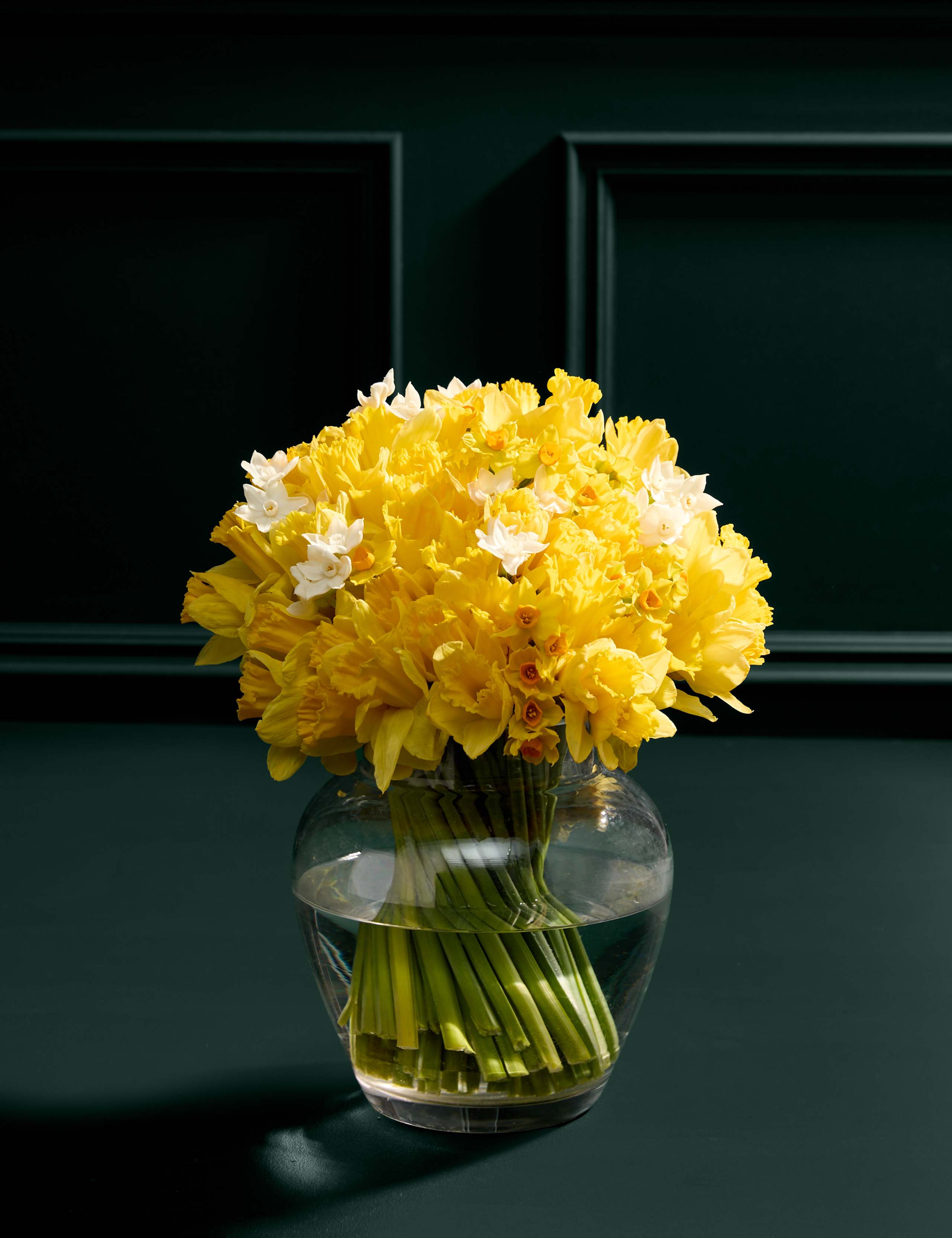 100 British Daffodils & Narcissus Bouquet 1 of 6