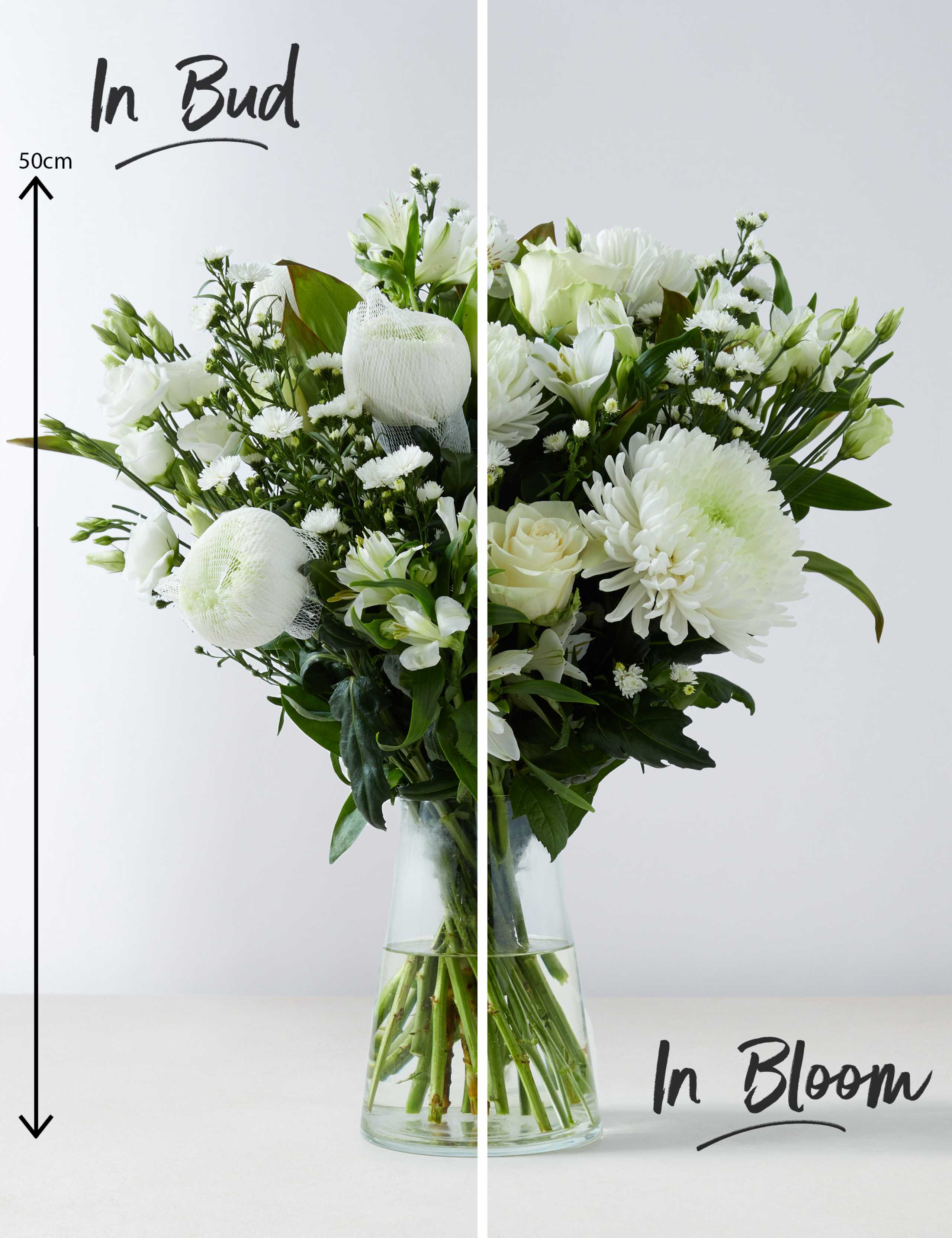 Serene Bouquet 3 of 7