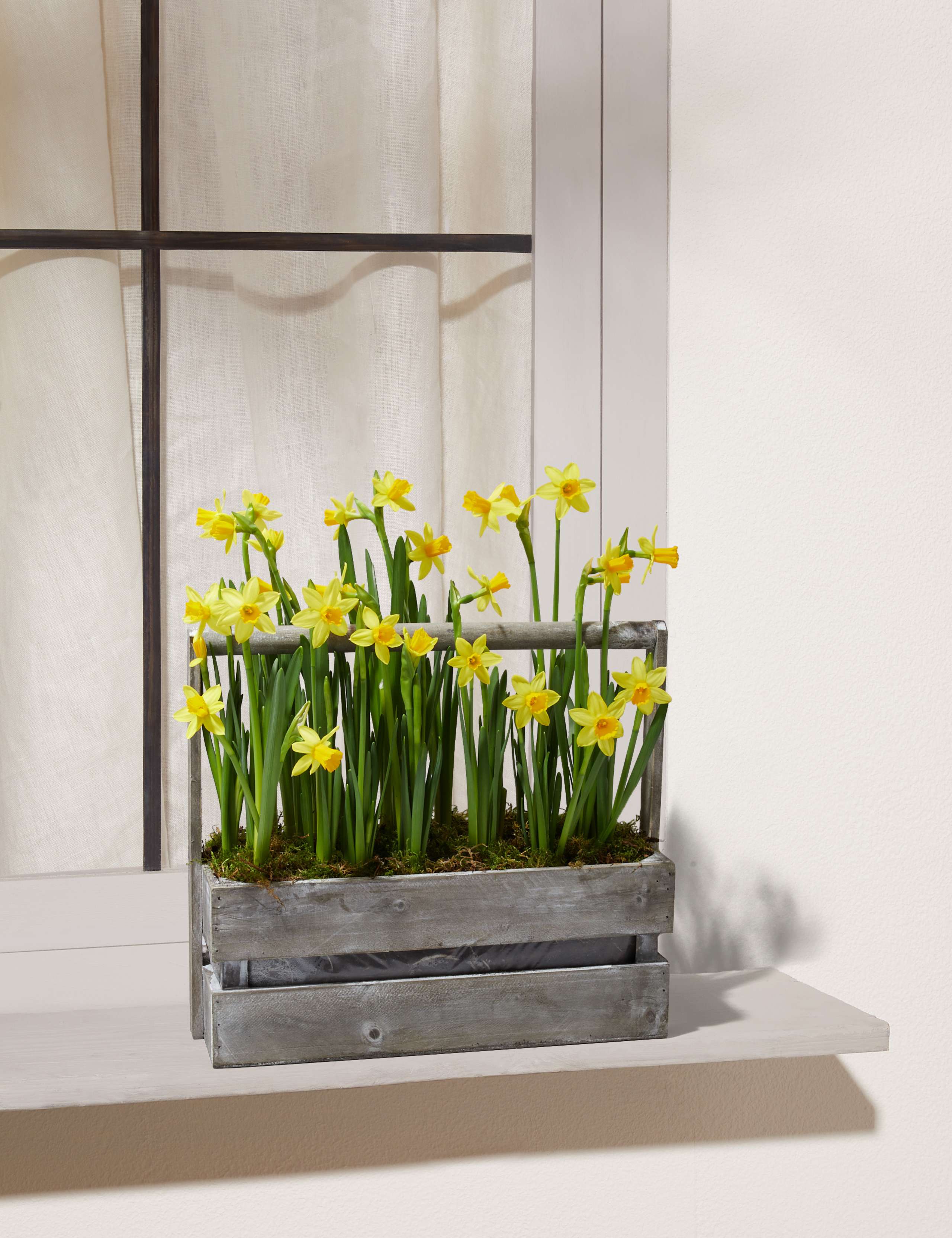 Spring Flowering Trug 1 of 7