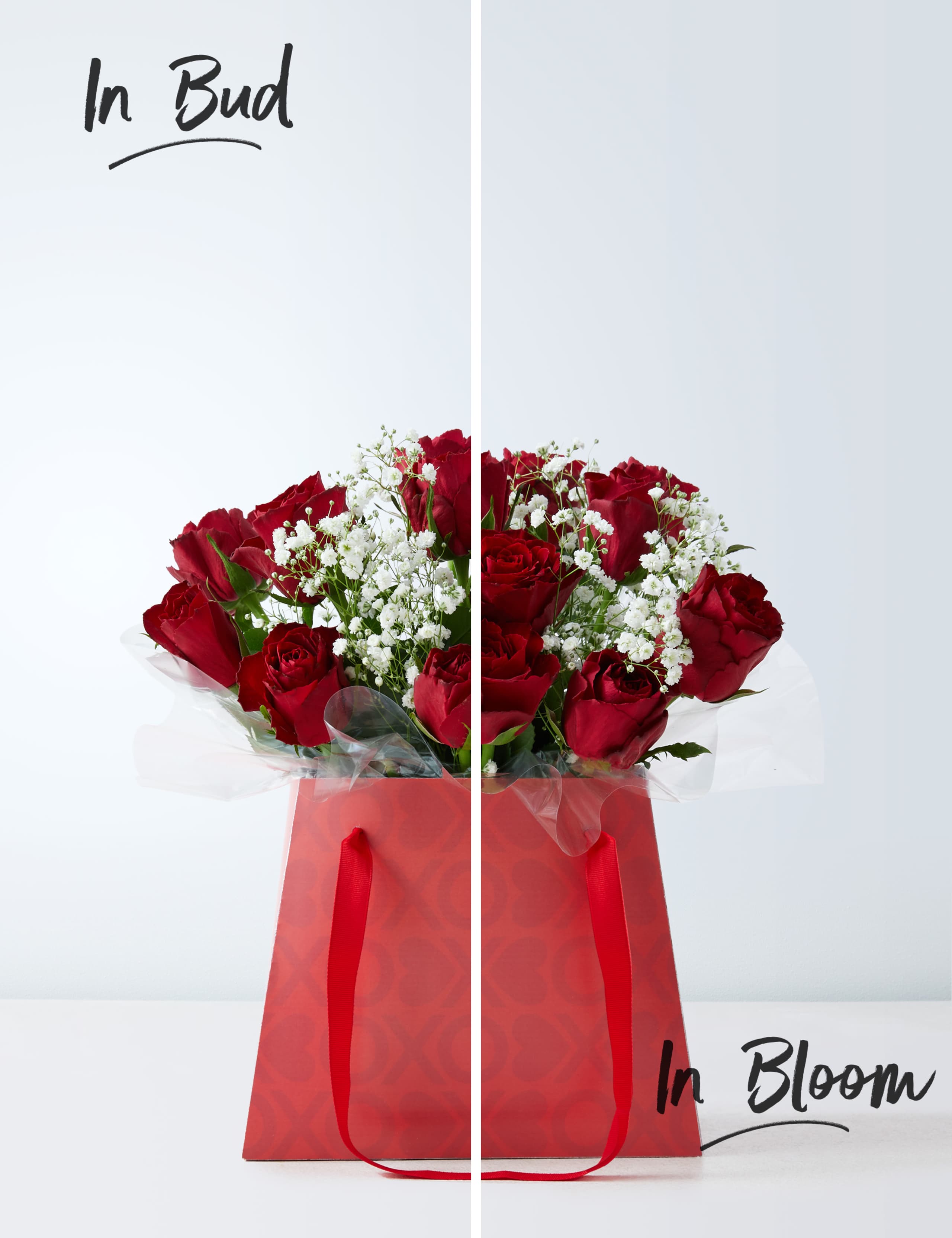 Valentine's Be Mine Rose Gift Bag 3 of 6