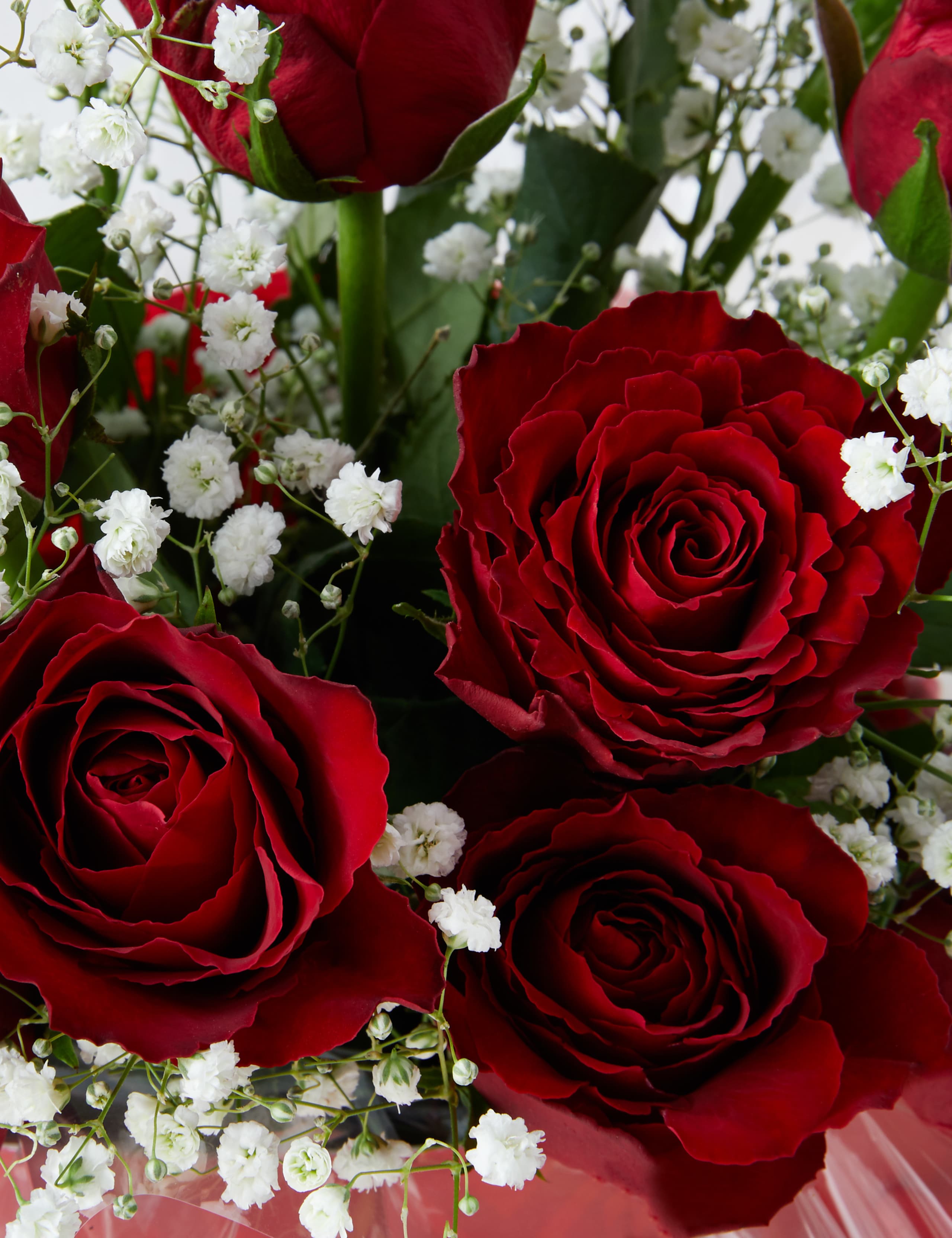Valentine's Be Mine Rose Gift Bag 5 of 6