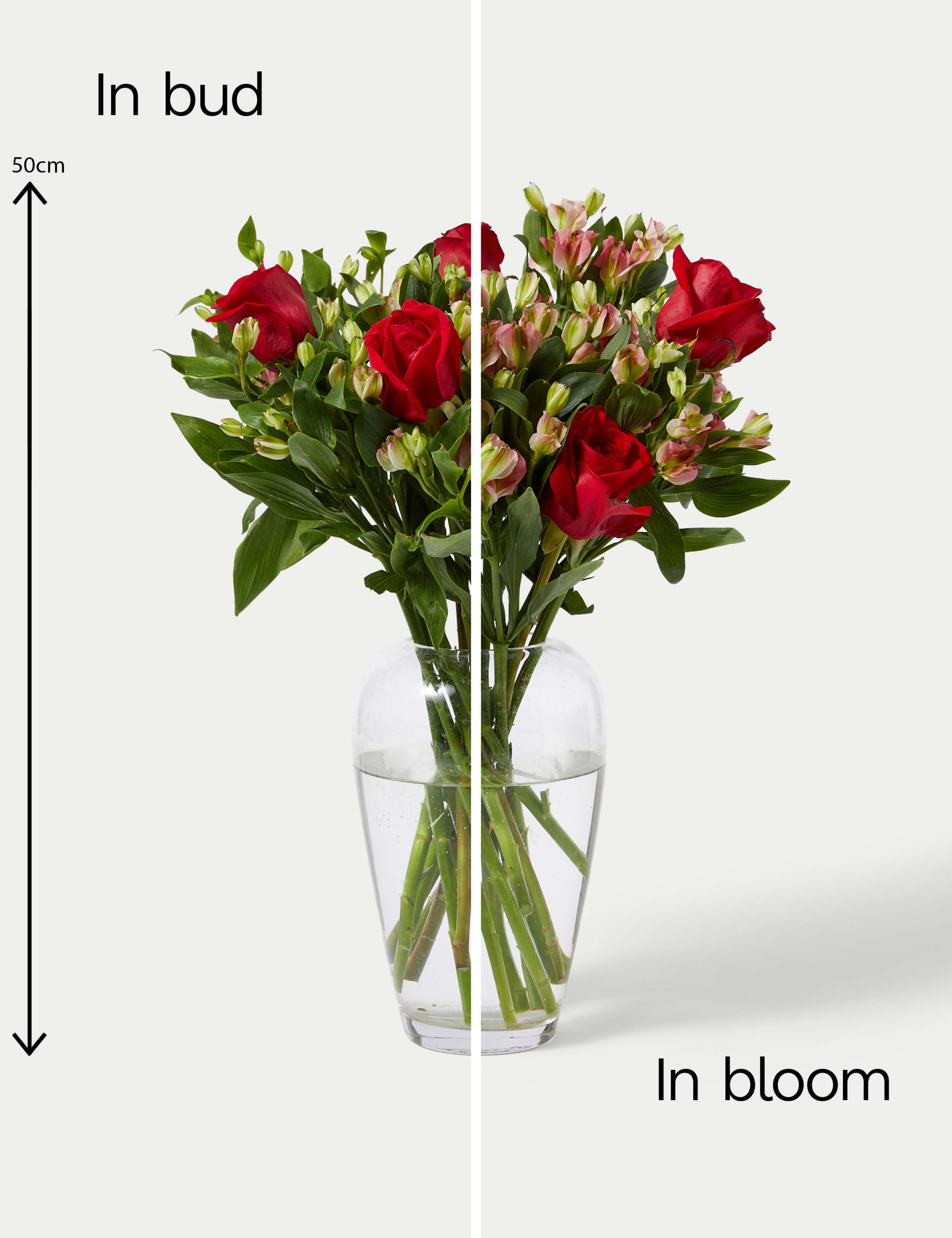 Rose & Charmelia Bouquet 5 of 5