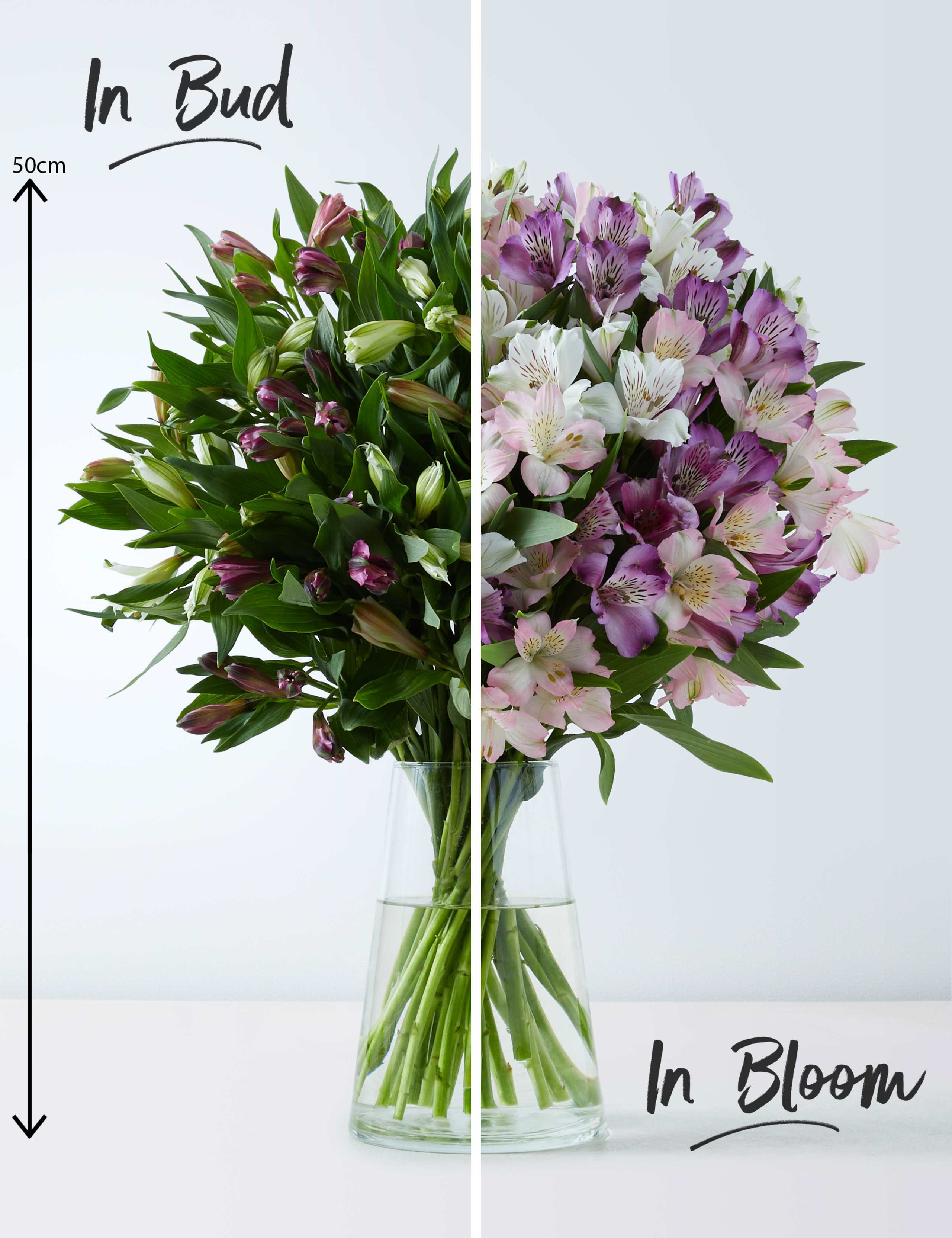 Alstroemeria Abundance Bouquet 3 of 4