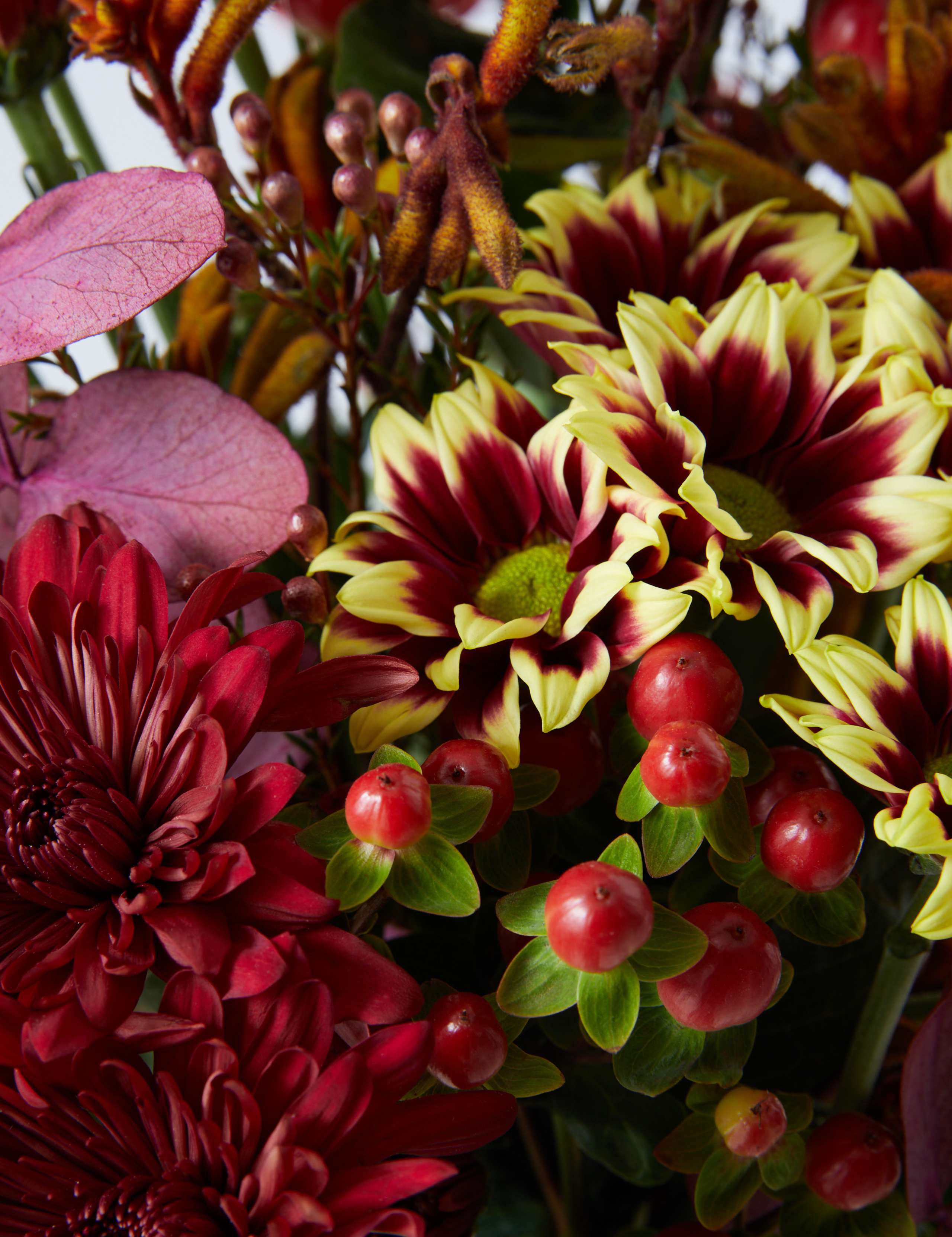 Ready To Arrange Christmas Colours Bouquet 5 of 7