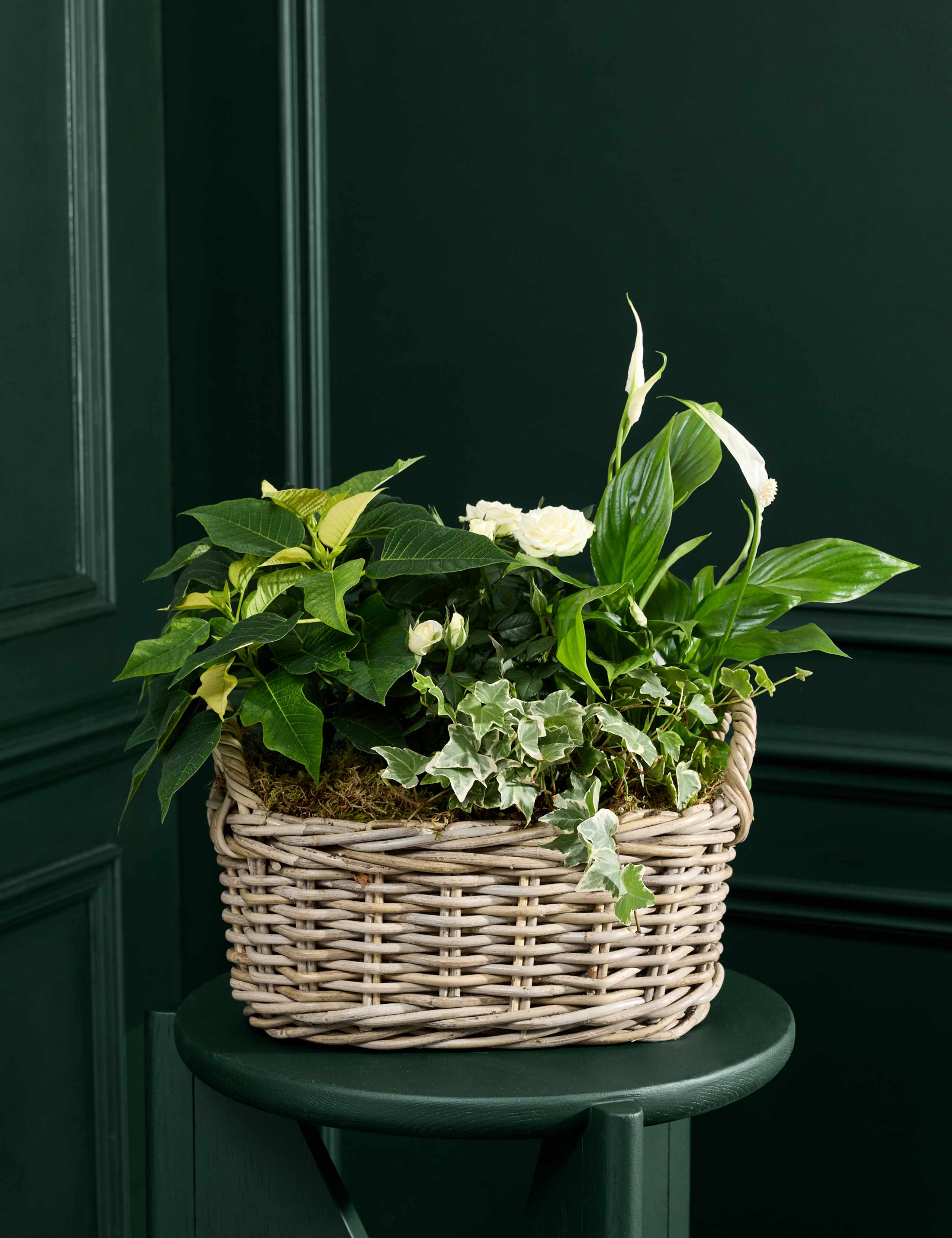 Large White Christmas Flowering Plant Basket 1 of 4