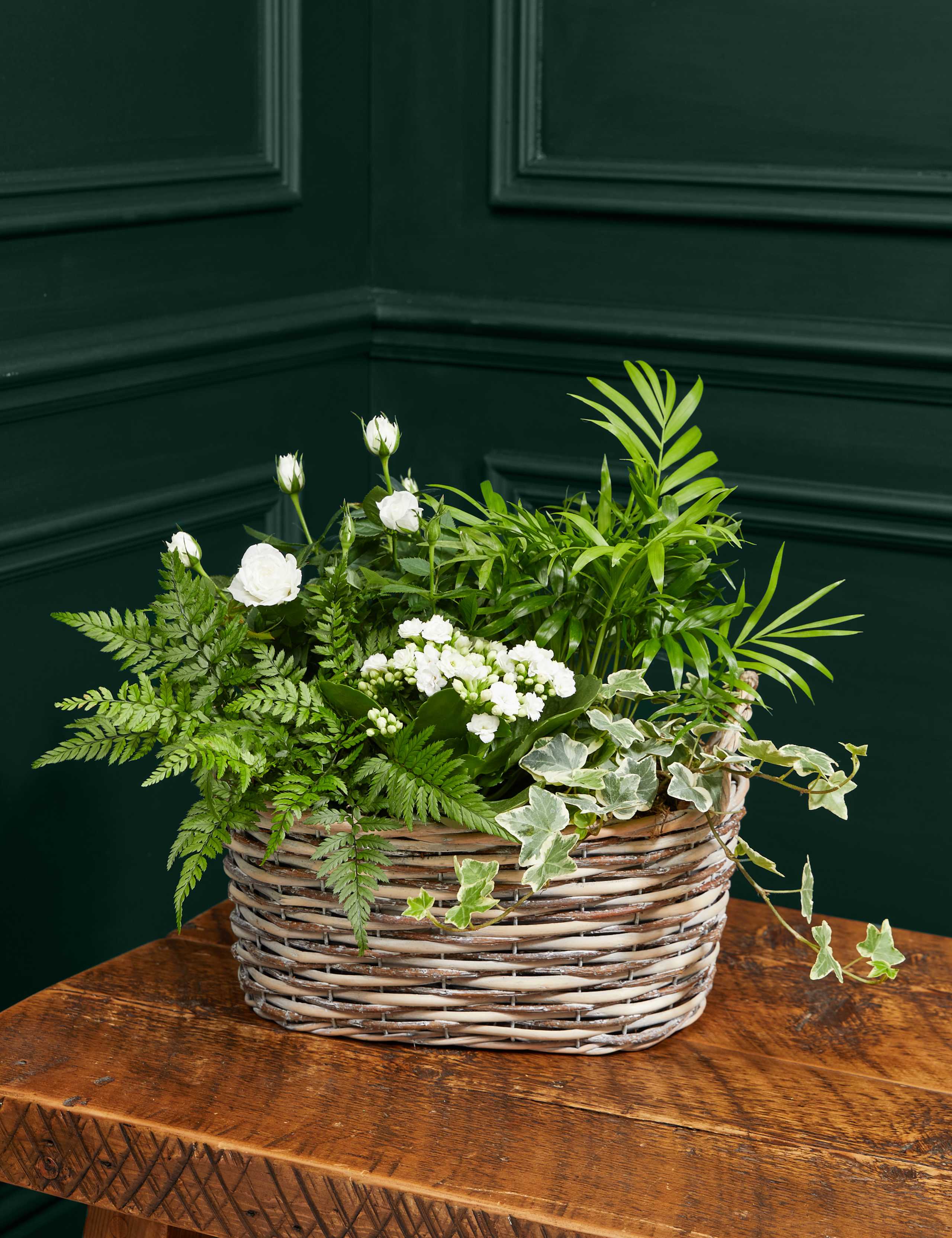 Luxury White Festive Planted Basket with Roses 1 of 3