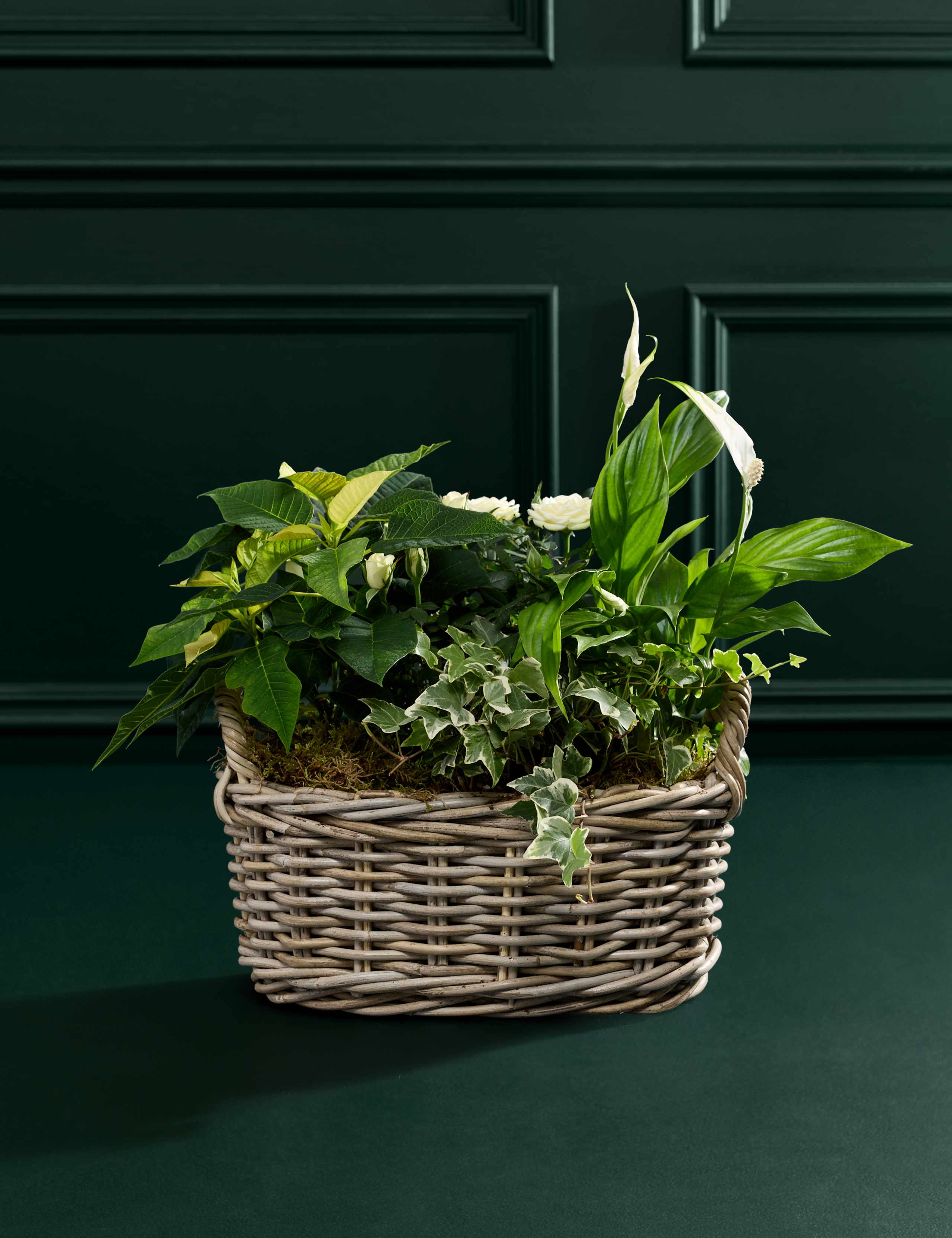 Large White Christmas Flowering Plant Basket 3 of 4