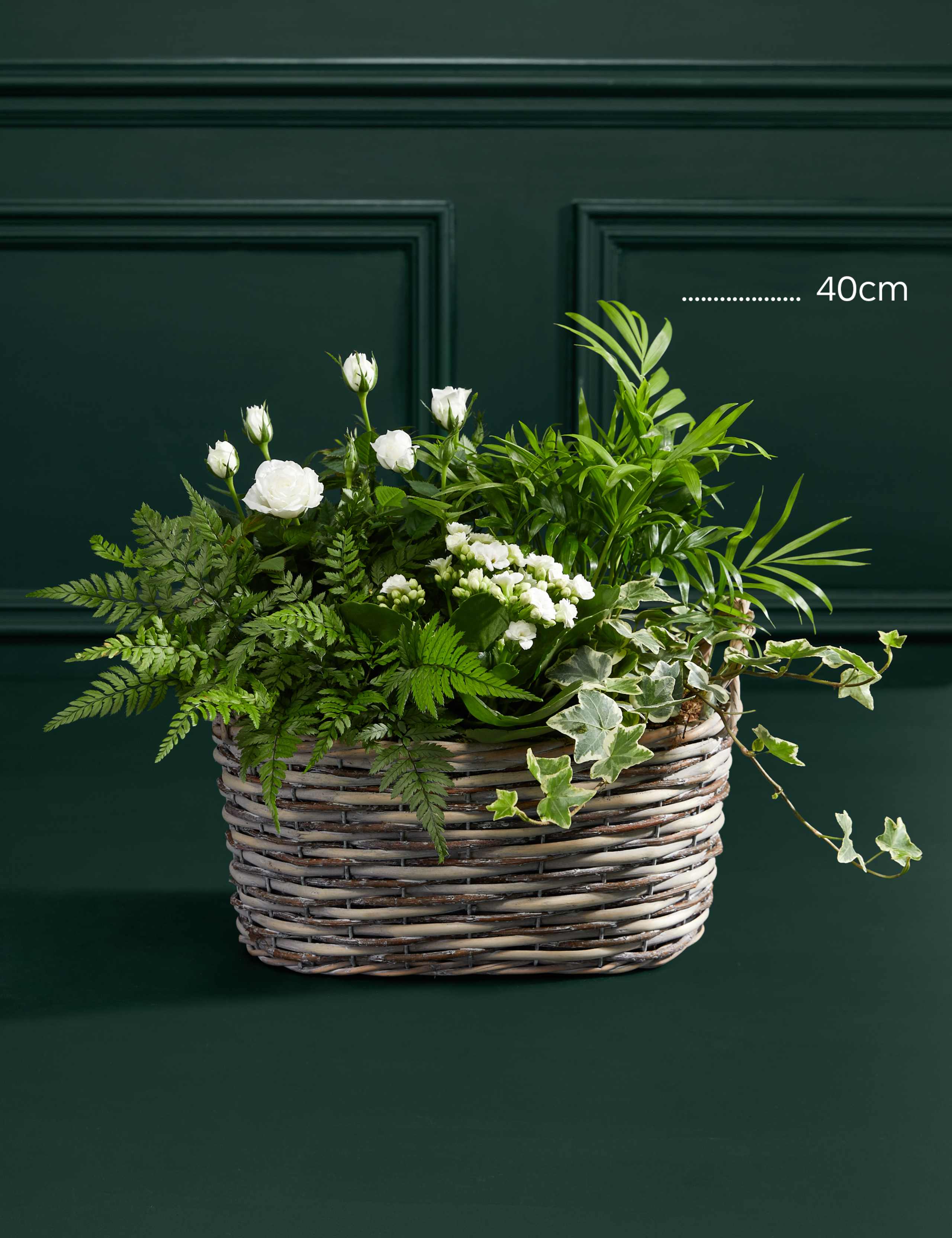 Luxury White Festive Planted Basket with Roses 3 of 3