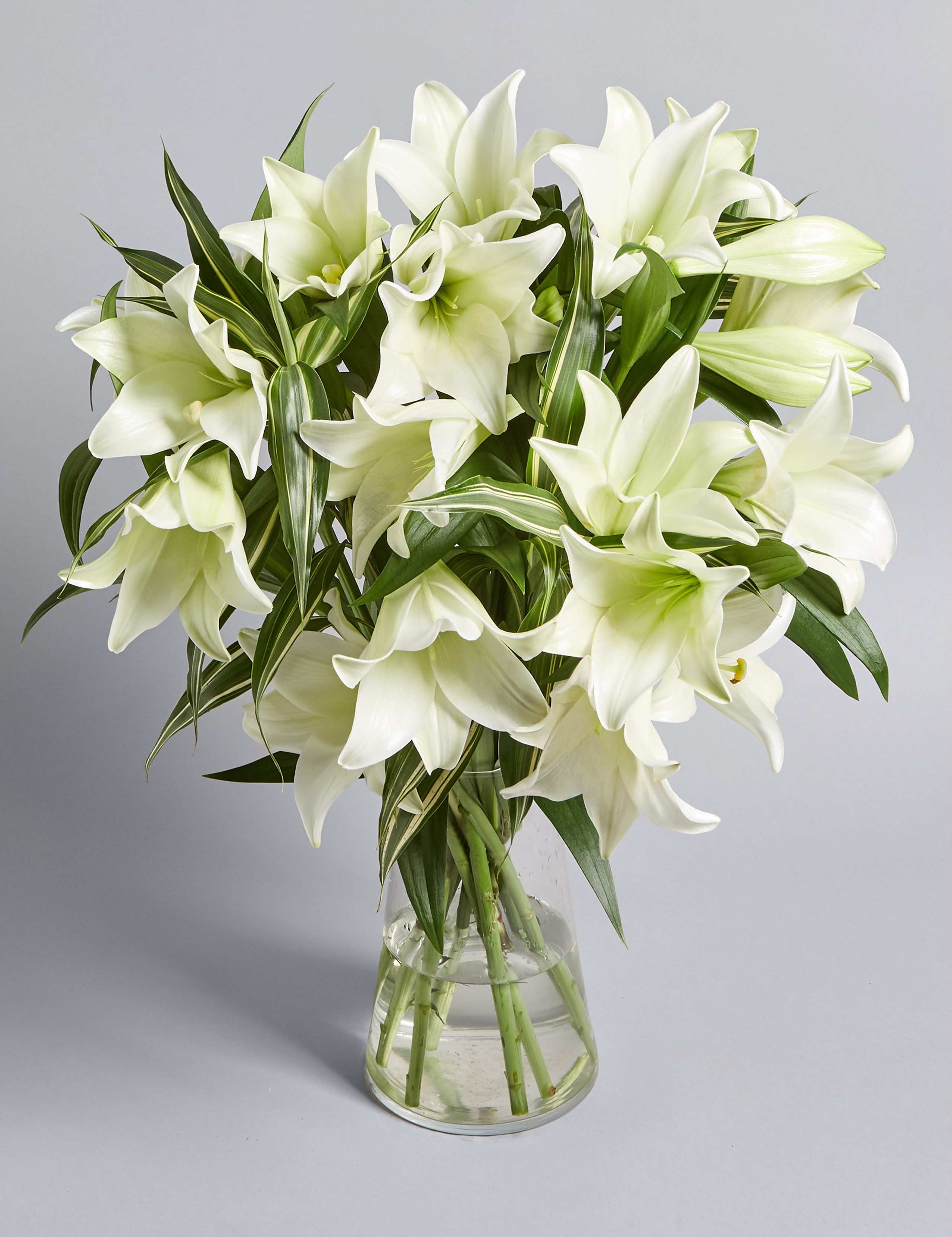 Longi Lily Bouquet 1 of 7