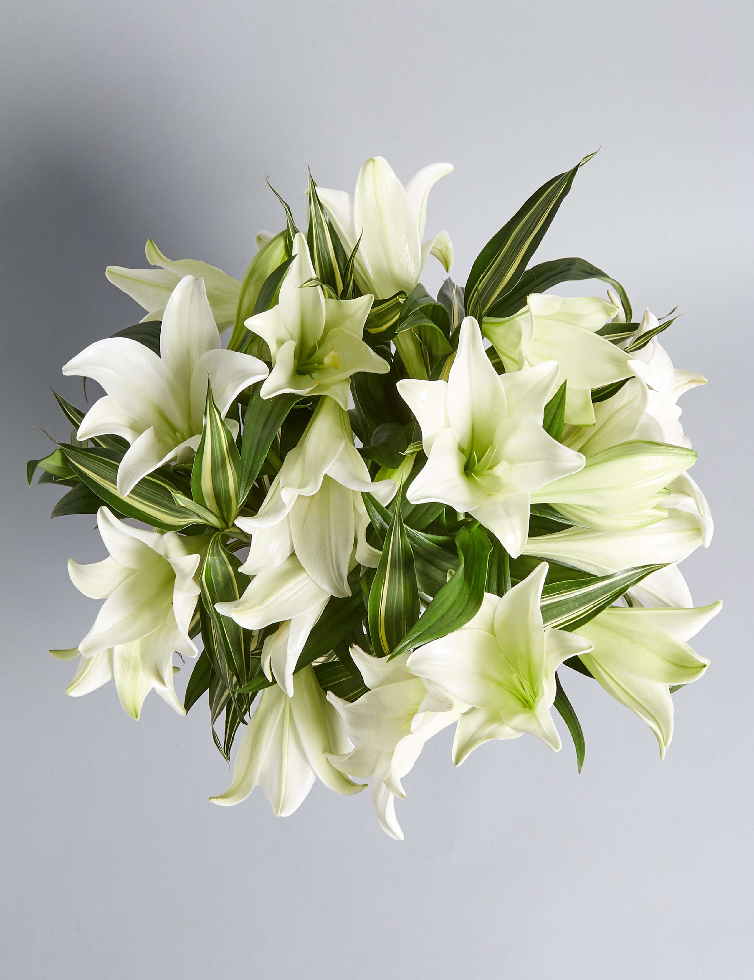 Longi Lily Bouquet 5 of 7