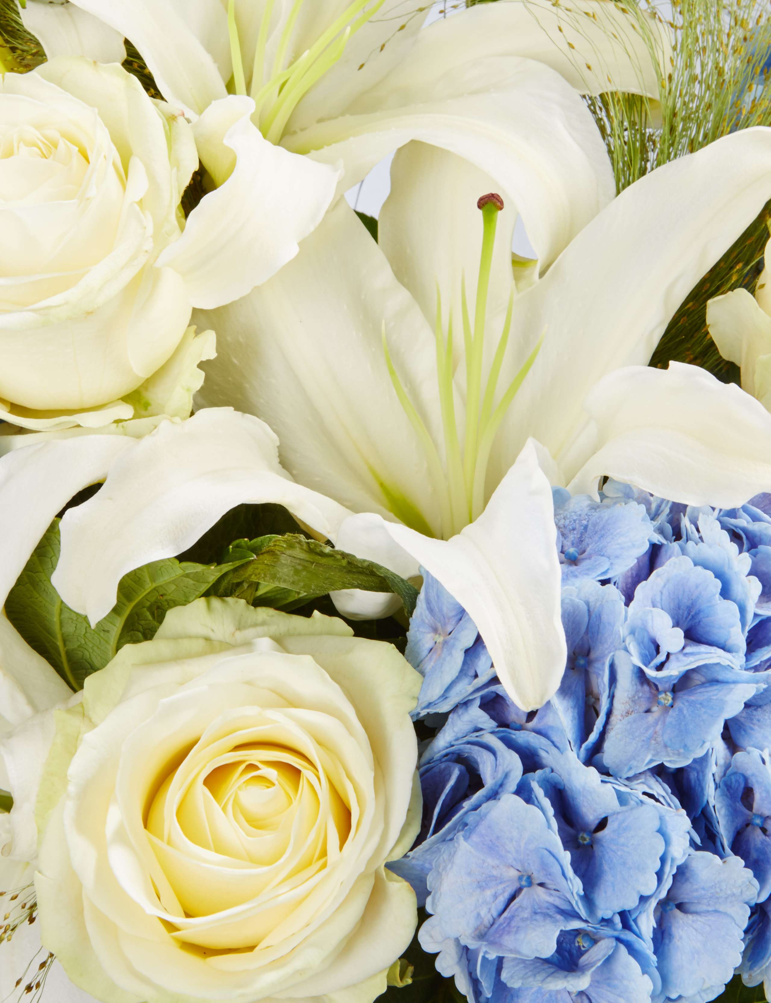 Autograph™ Lily & Hydrangea (Pre Order) 4 of 4