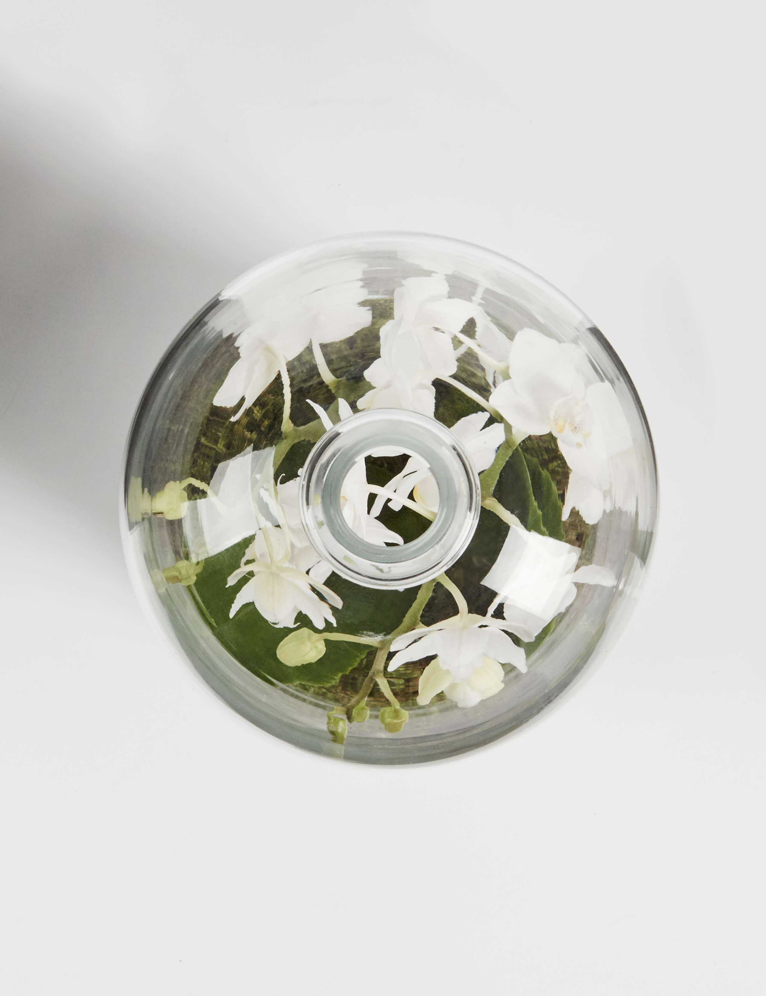 Christmas White Orchid Cloche 3 of 5