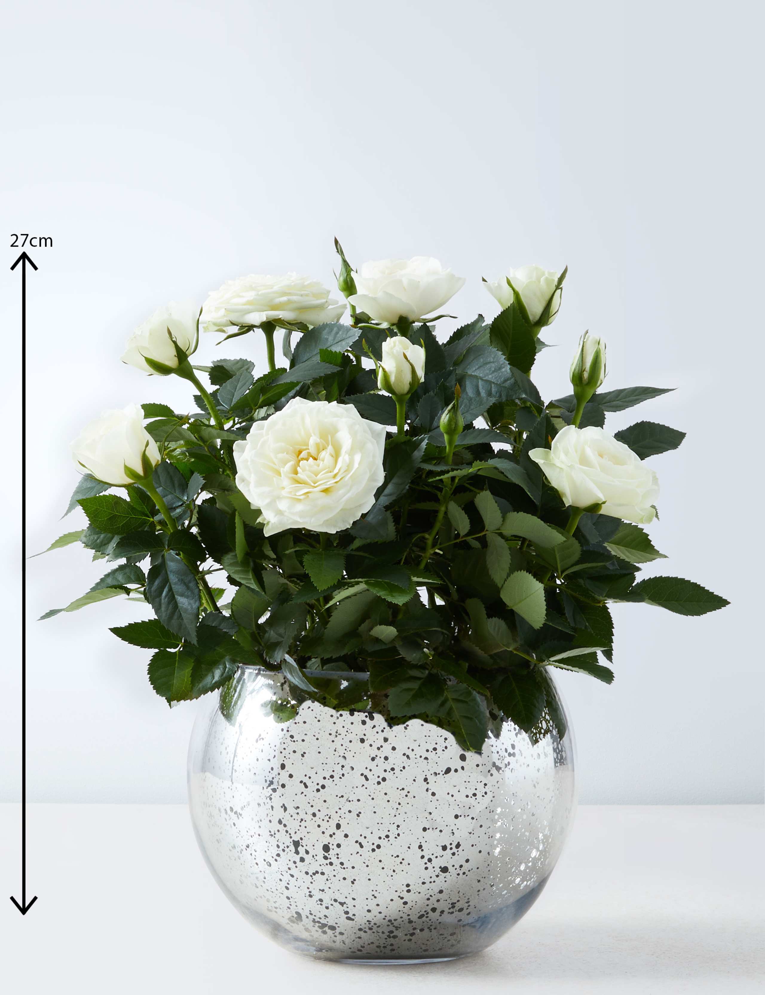 Seasonal White Rose Ceramic 3 of 7