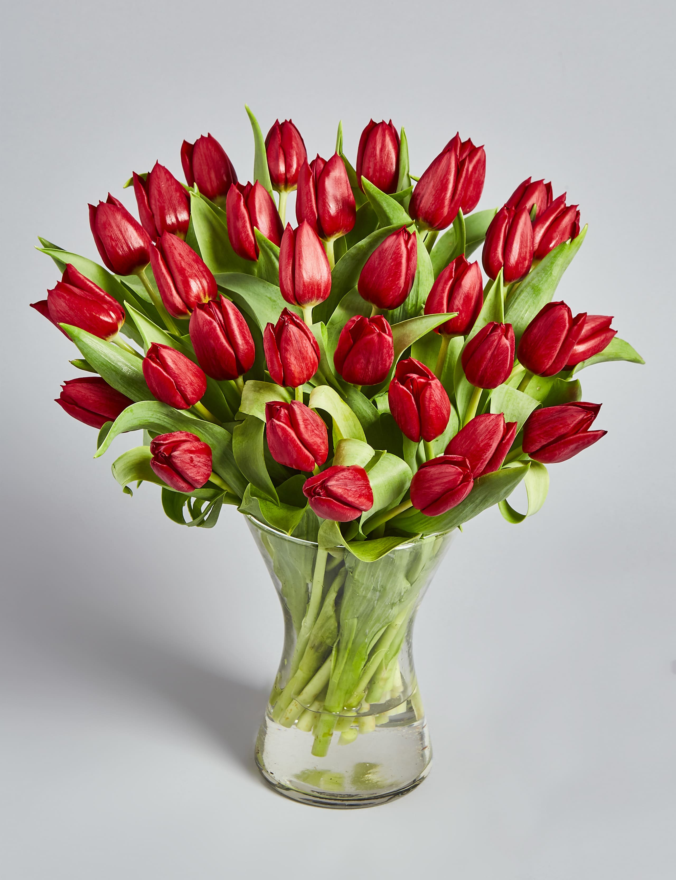 Valentine's Tulips 1 of 6