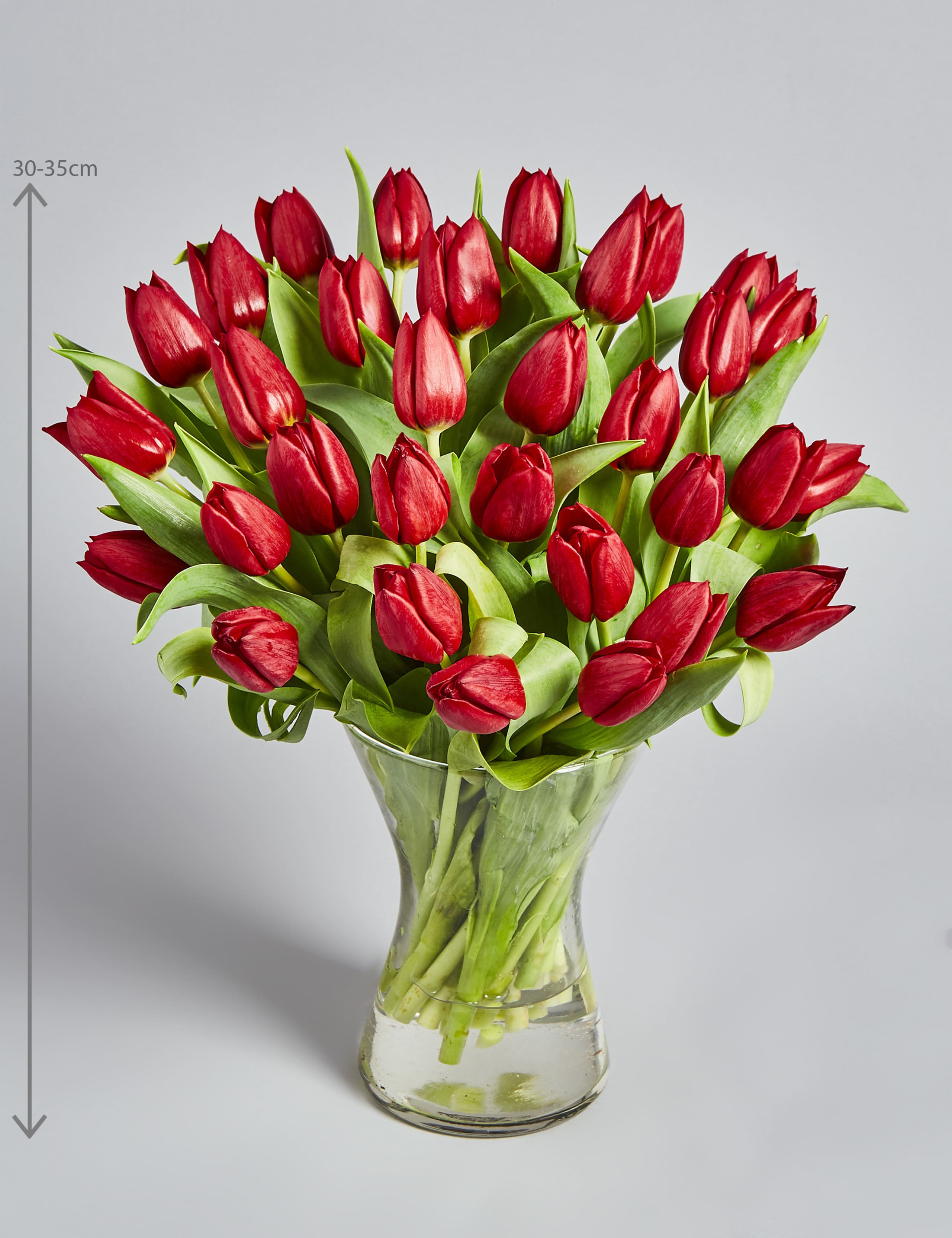 Valentine's Tulips 3 of 6