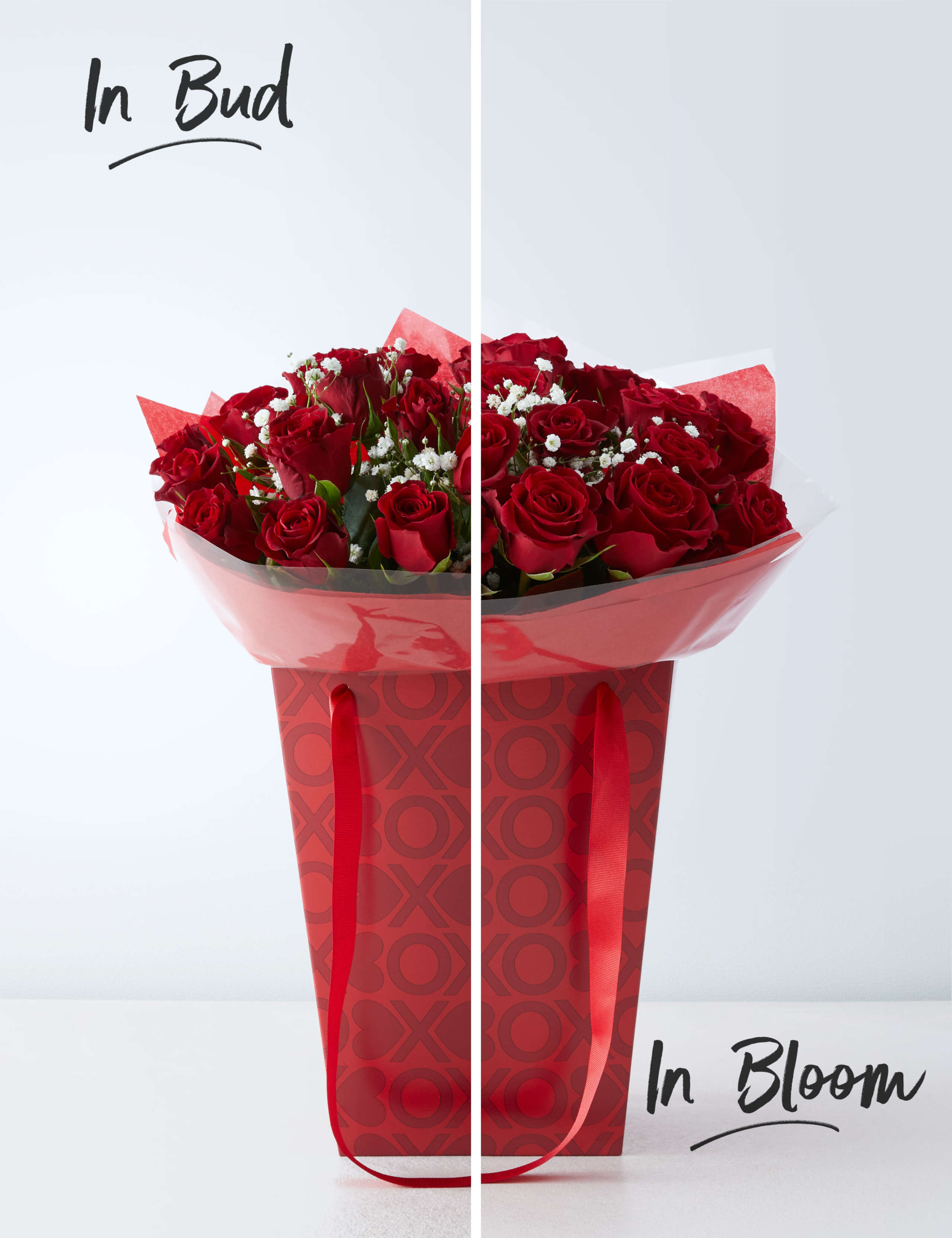 Valentine's Be Mine Rose Gift Bag - Large (Delivery from 10th February 2020) 3 of 6
