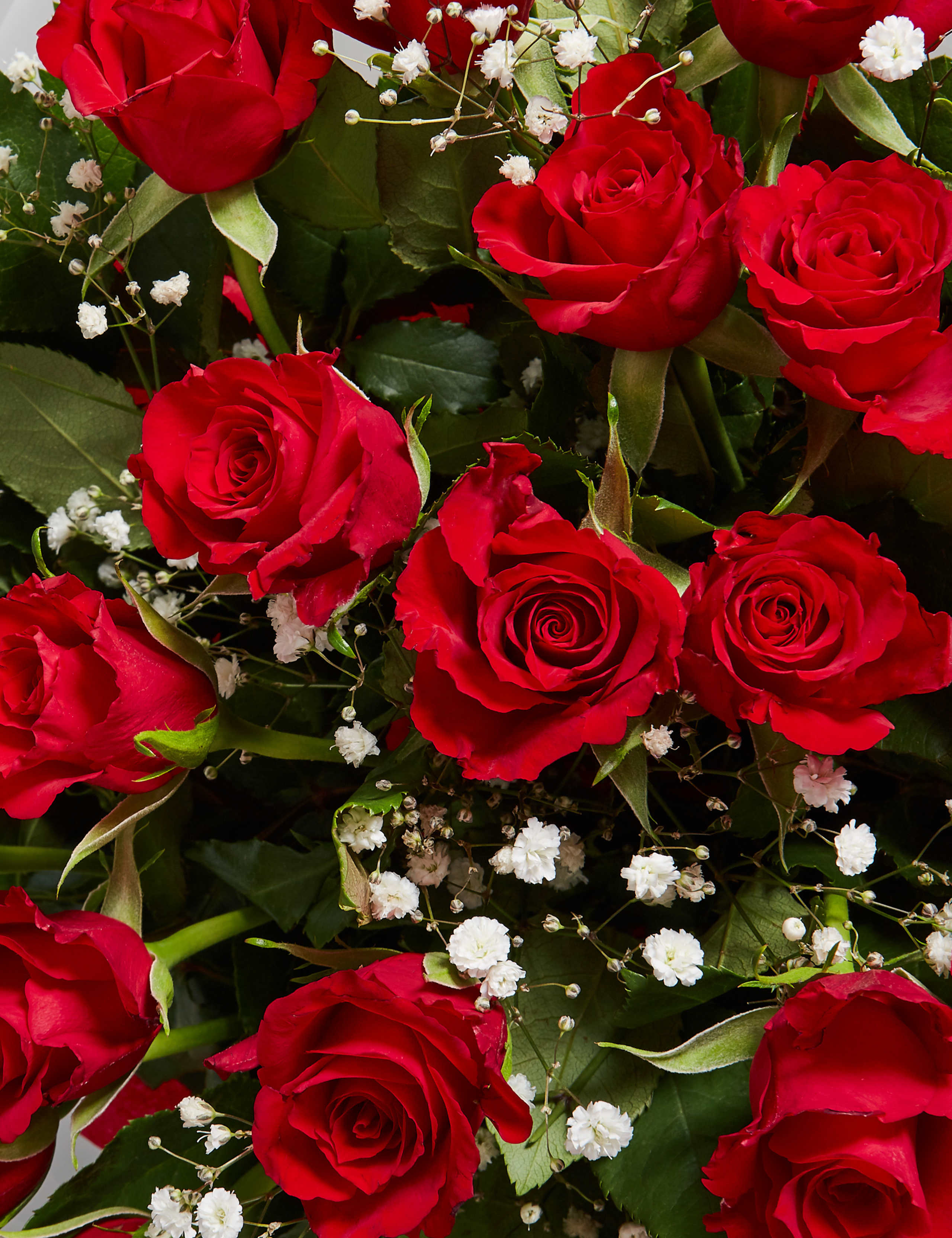 Valentine's Be Mine Rose Gift Bag - Large (Delivery from 10th February 2020) 6 of 6