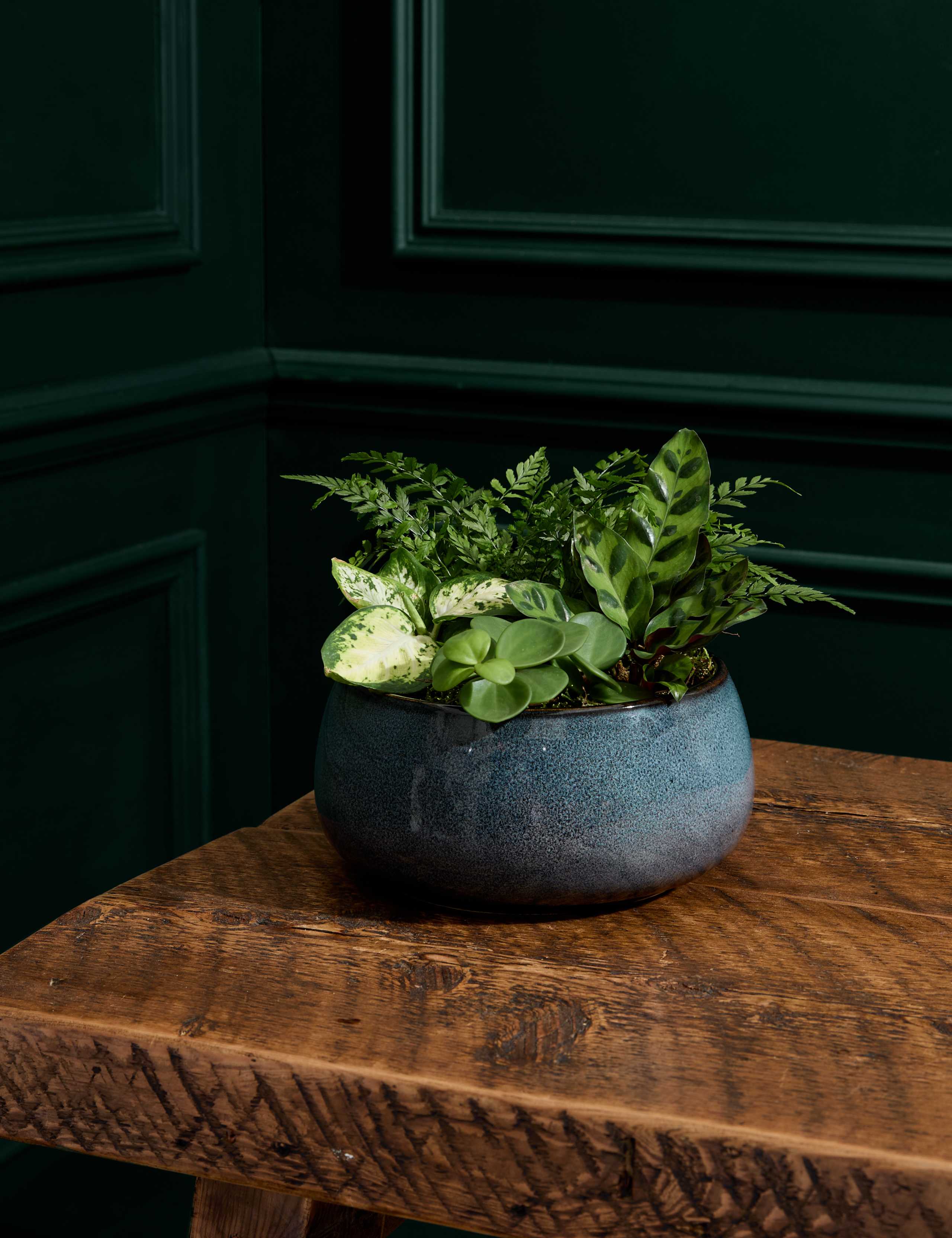 Foliage Planter 1 of 3