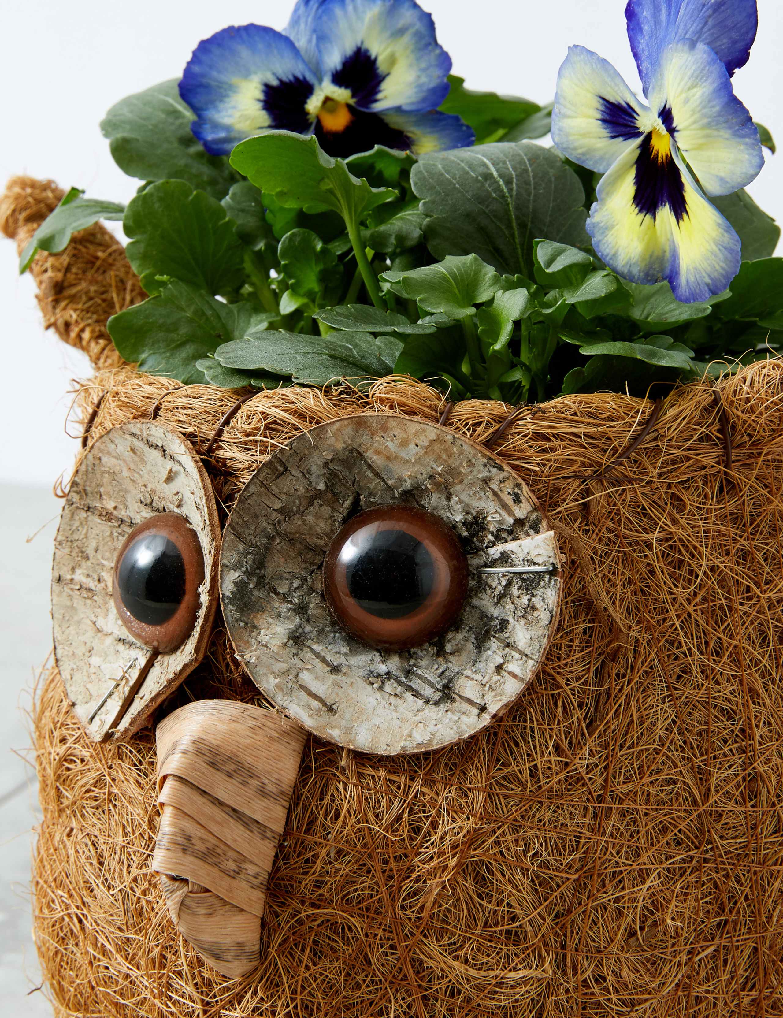 Spring Sisal Owl 4 of 5