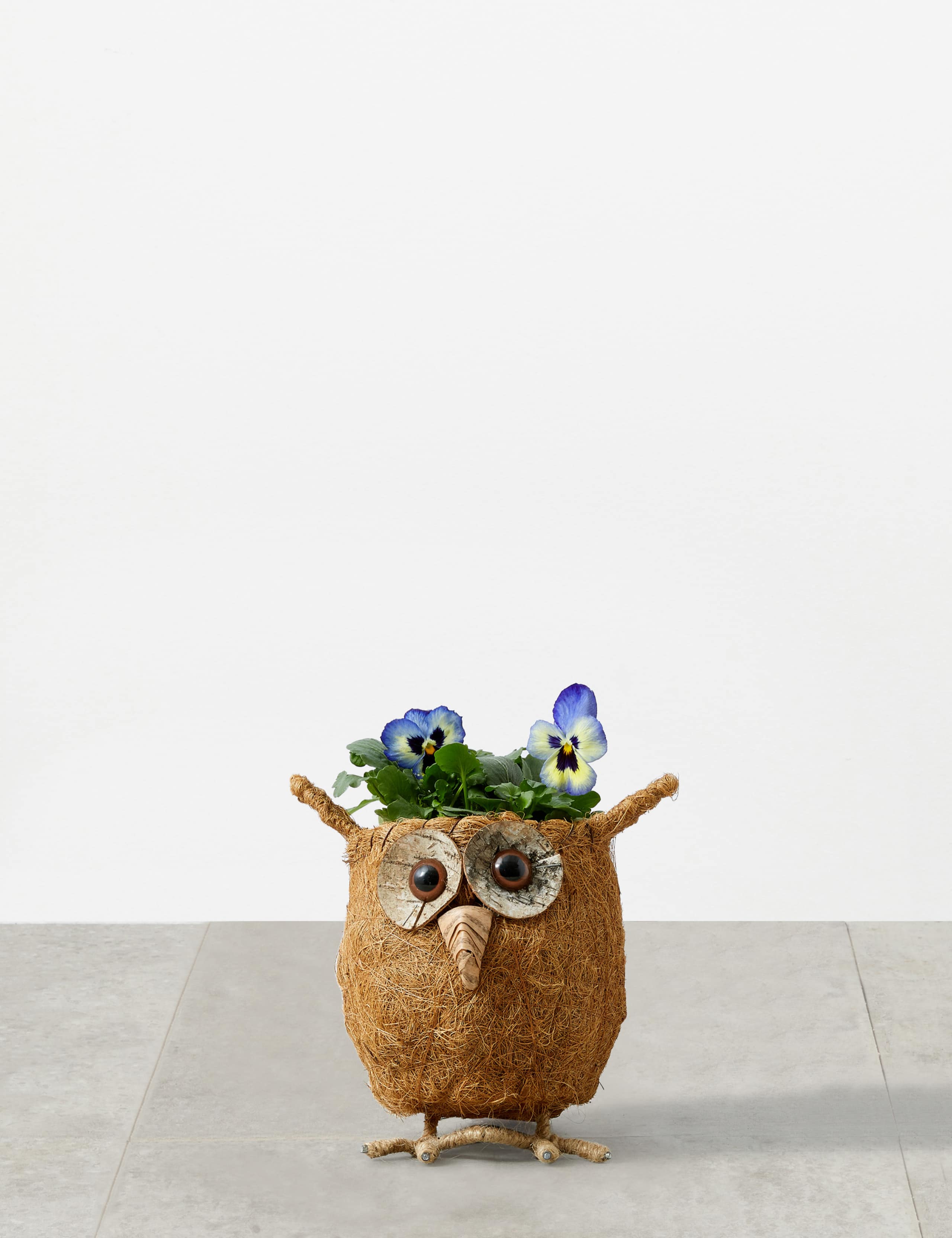 Spring Sisal Owl 2 of 5