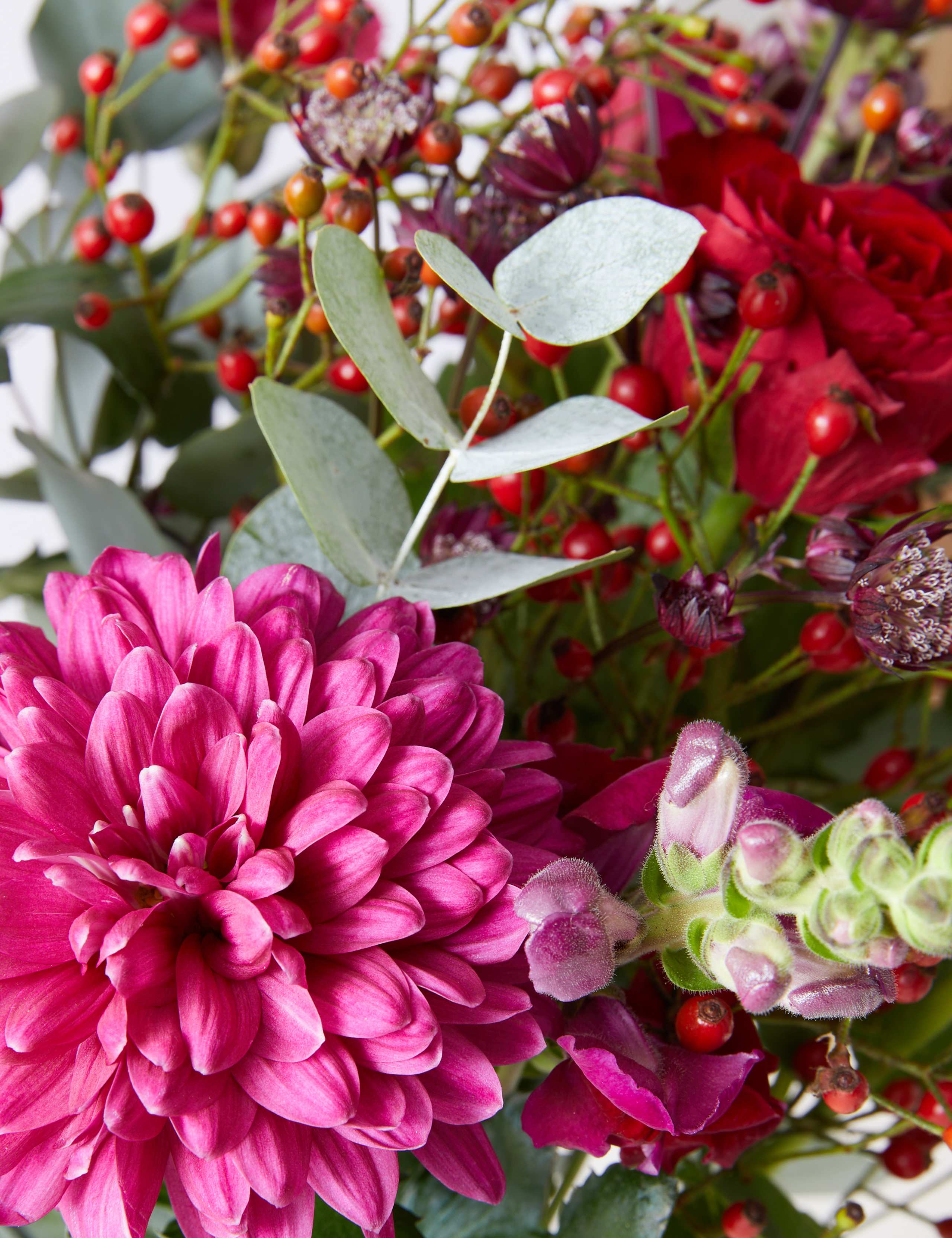 Red Berries & Blooms Flowers Bouquet 4 of 5
