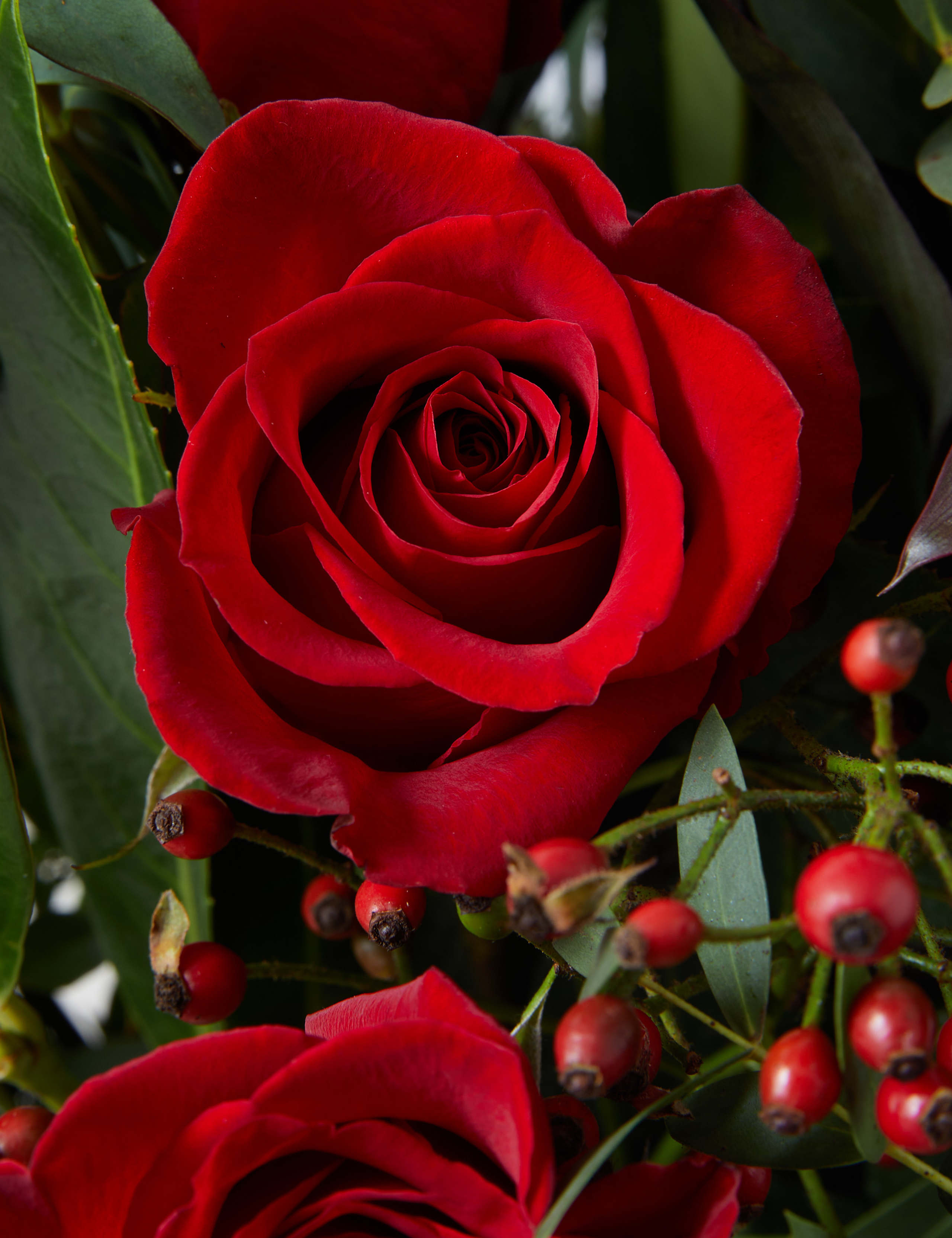 Christmas Red Velvet Bouquet (Delivery from 6th December 2022) 4 of 5