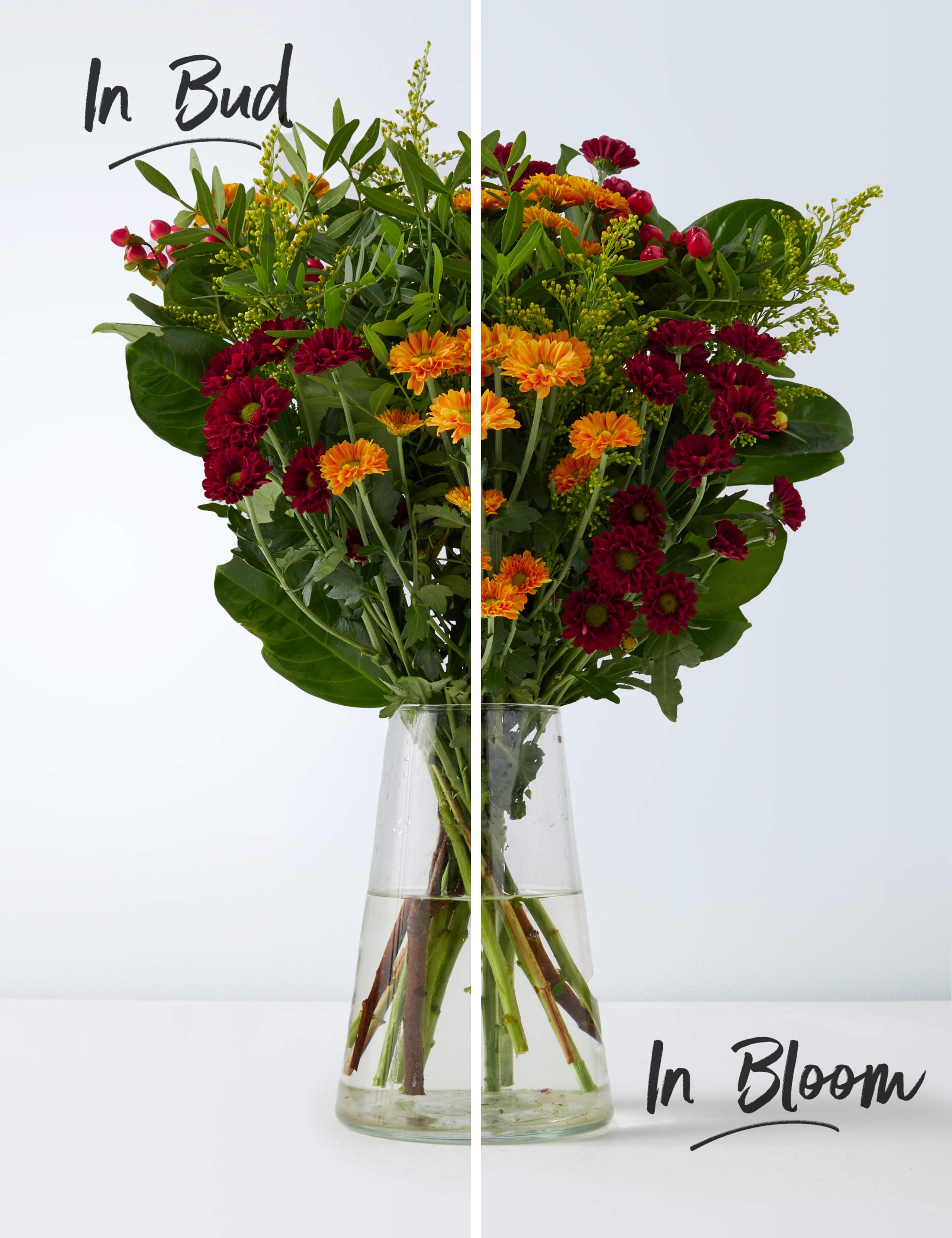 Autumn Seasonal Letterbox Flowers 3 of 6