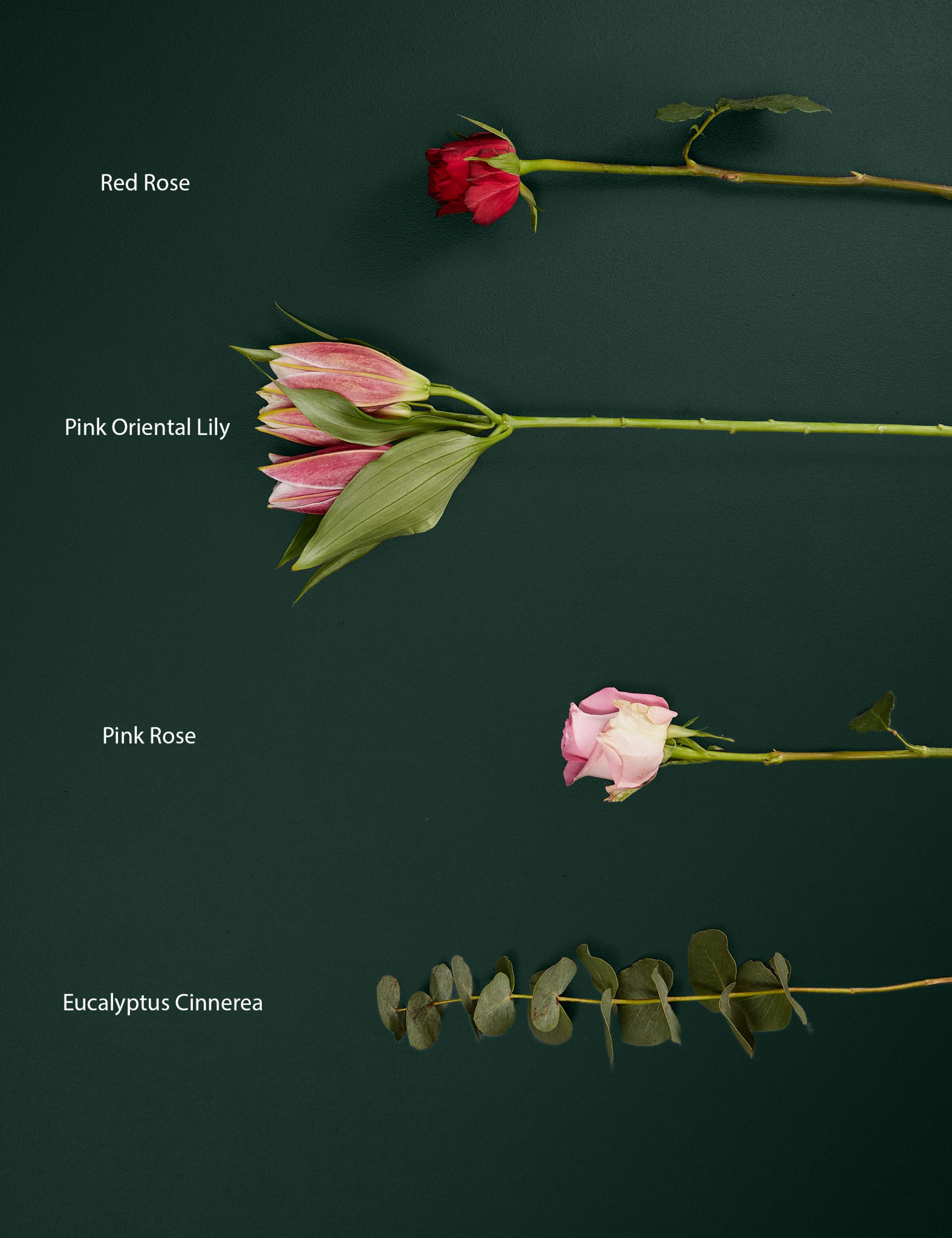 Valentine's Romantic Rose & Lily Bouquet 4 of 7